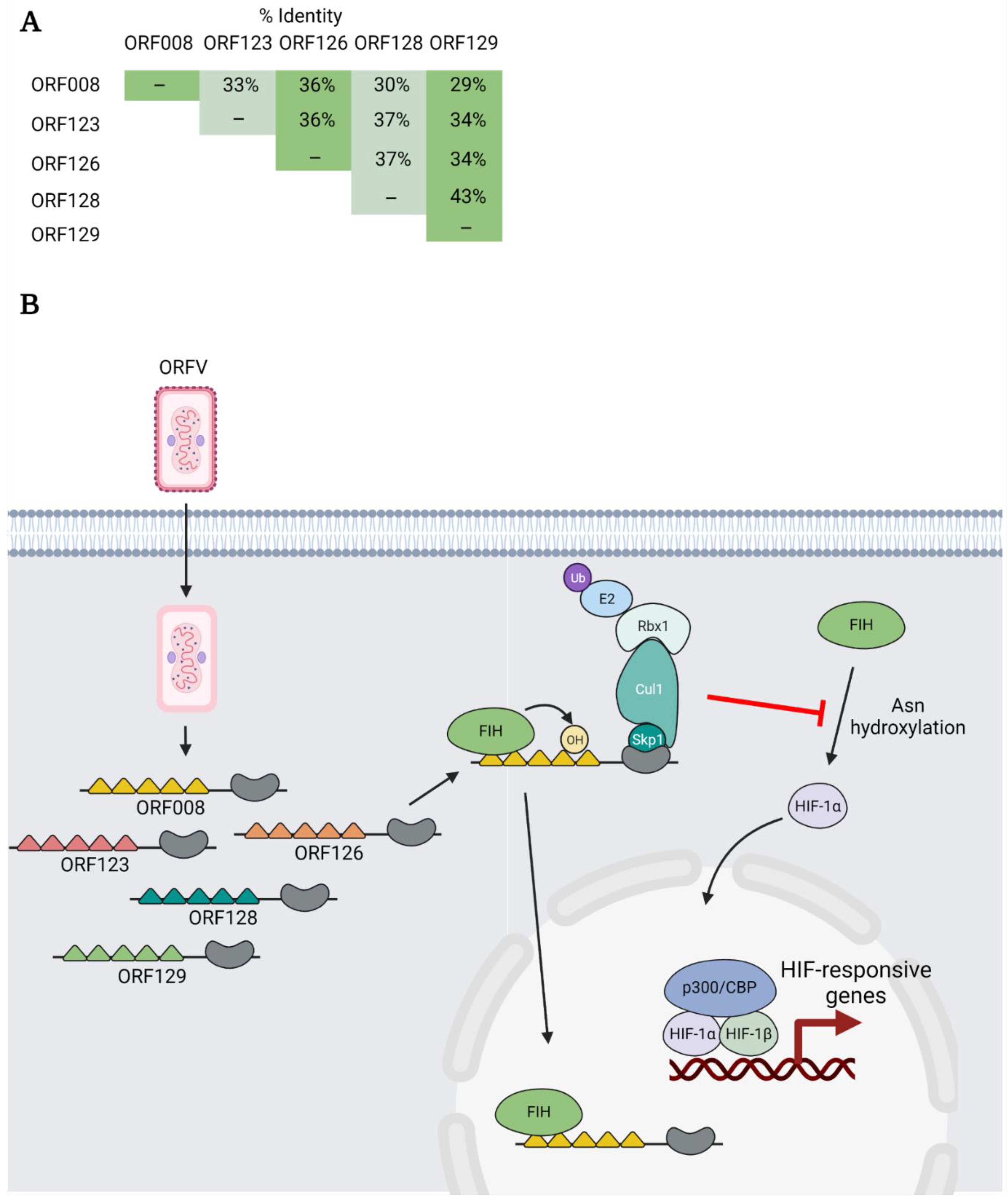 Pathogens 11 00875 g007 Pathogens 11 00875 g007