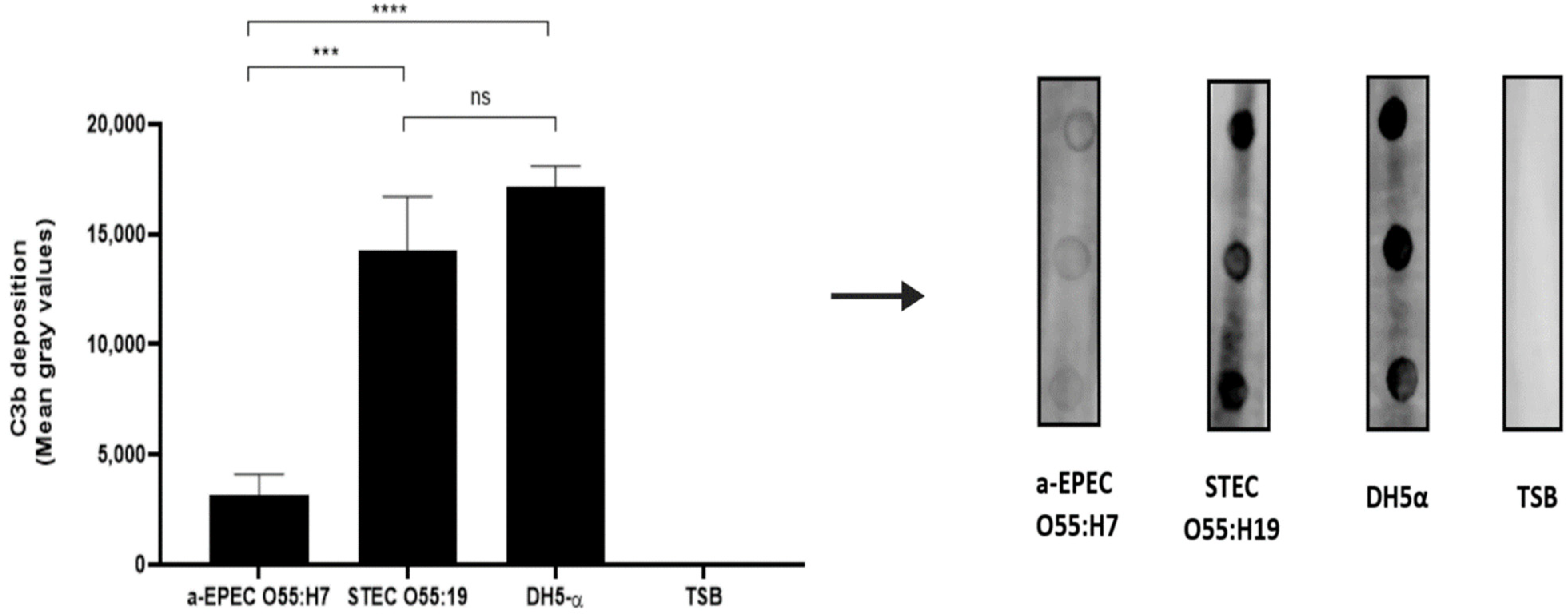 Pathogens 11 00895 g003 Pathogens 11 00895 g003