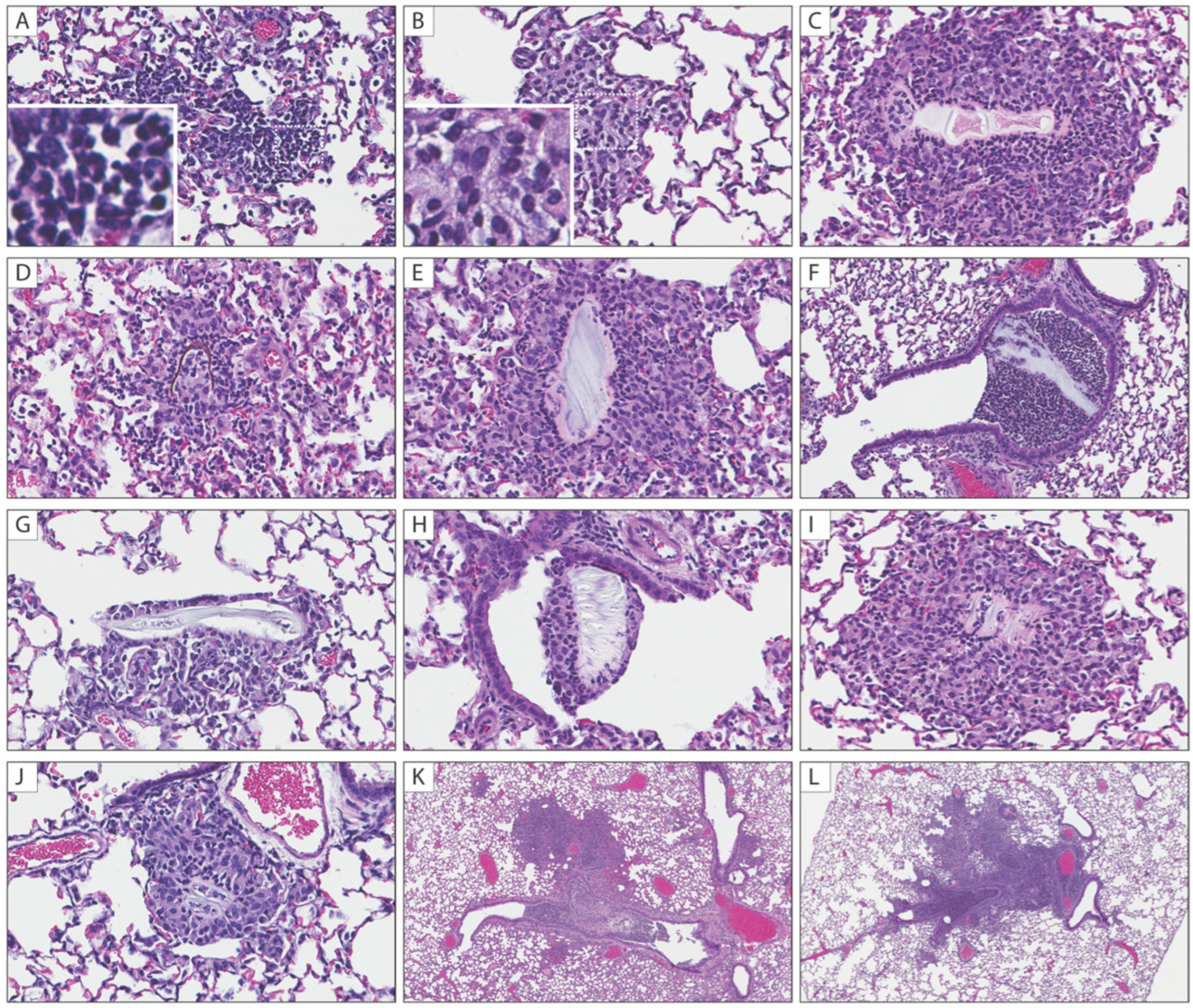 Pathogens 11 00898 g005