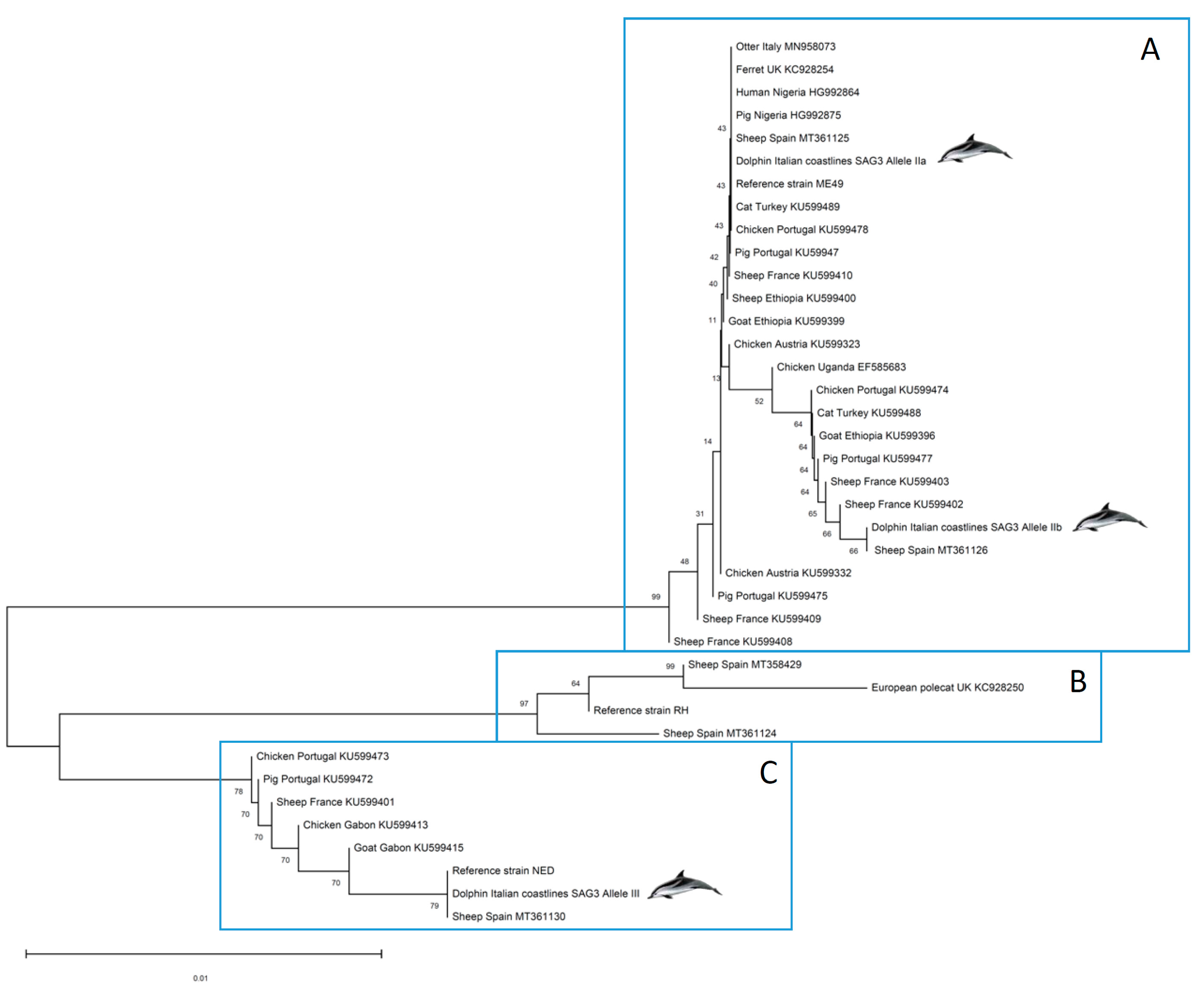 Pathogens 11 00909 g002