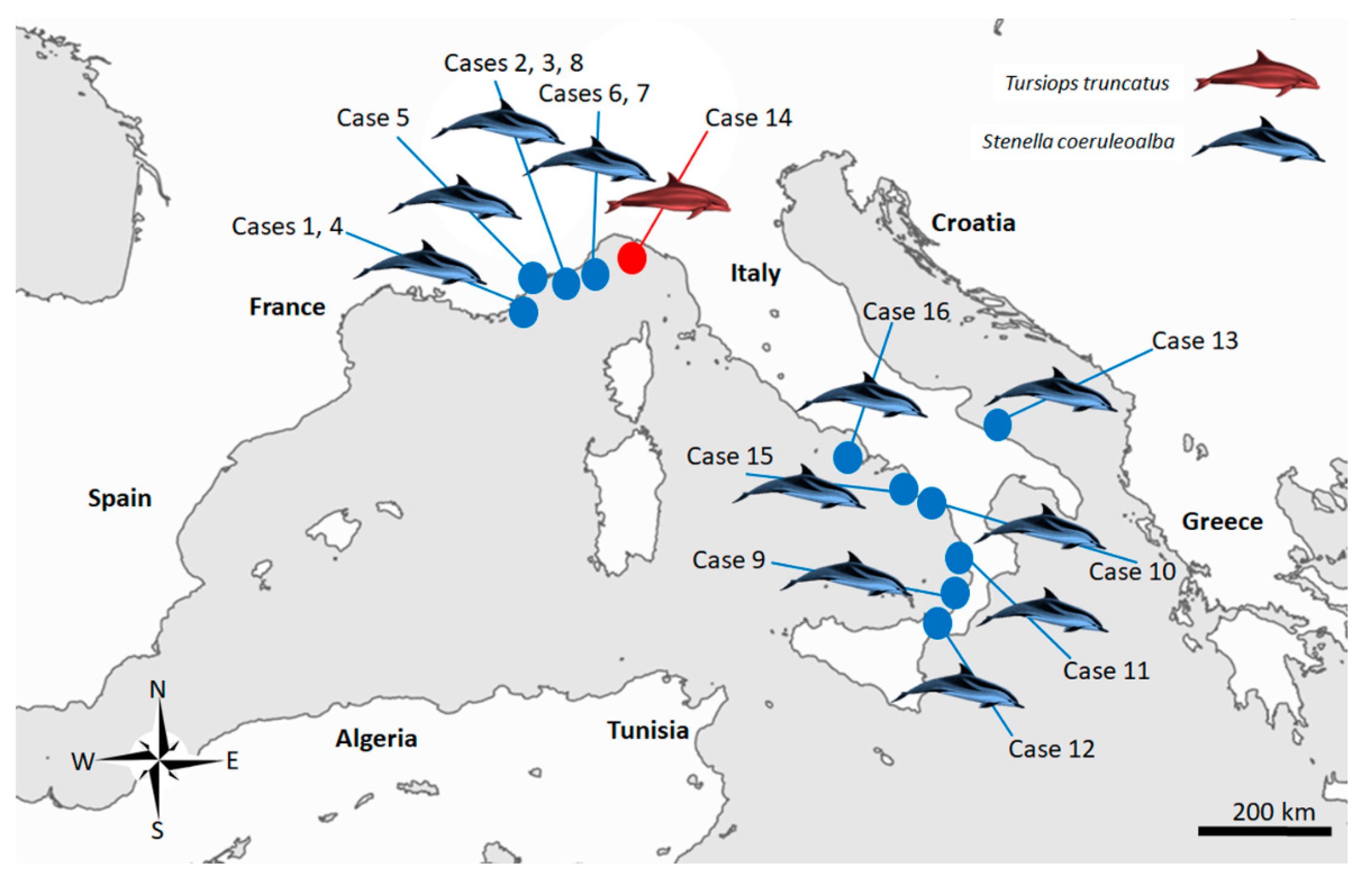 Pathogens 11 00909 g003