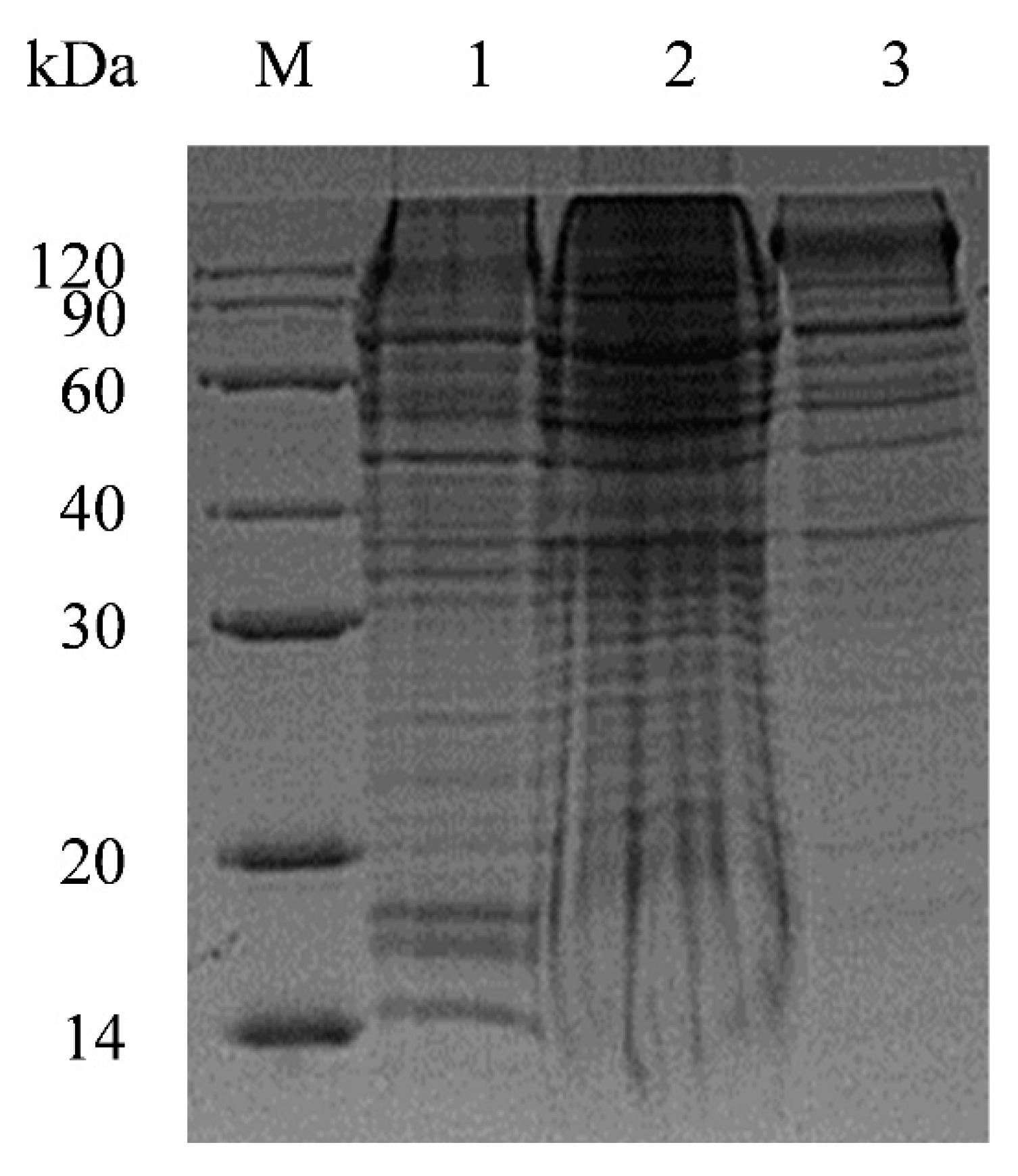 Pathogens 11 00910 g001