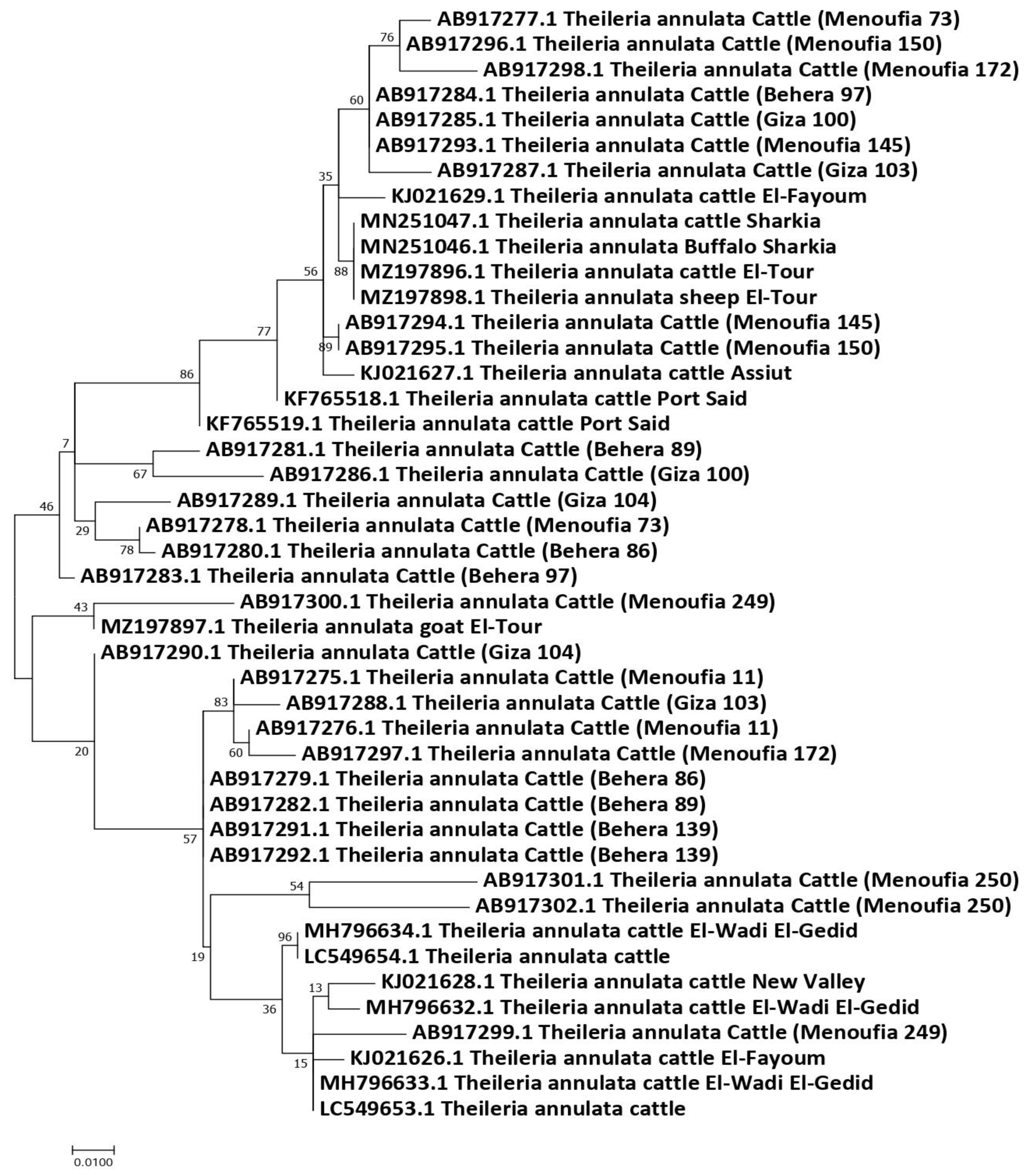 Pathogens 11 00912 g004
