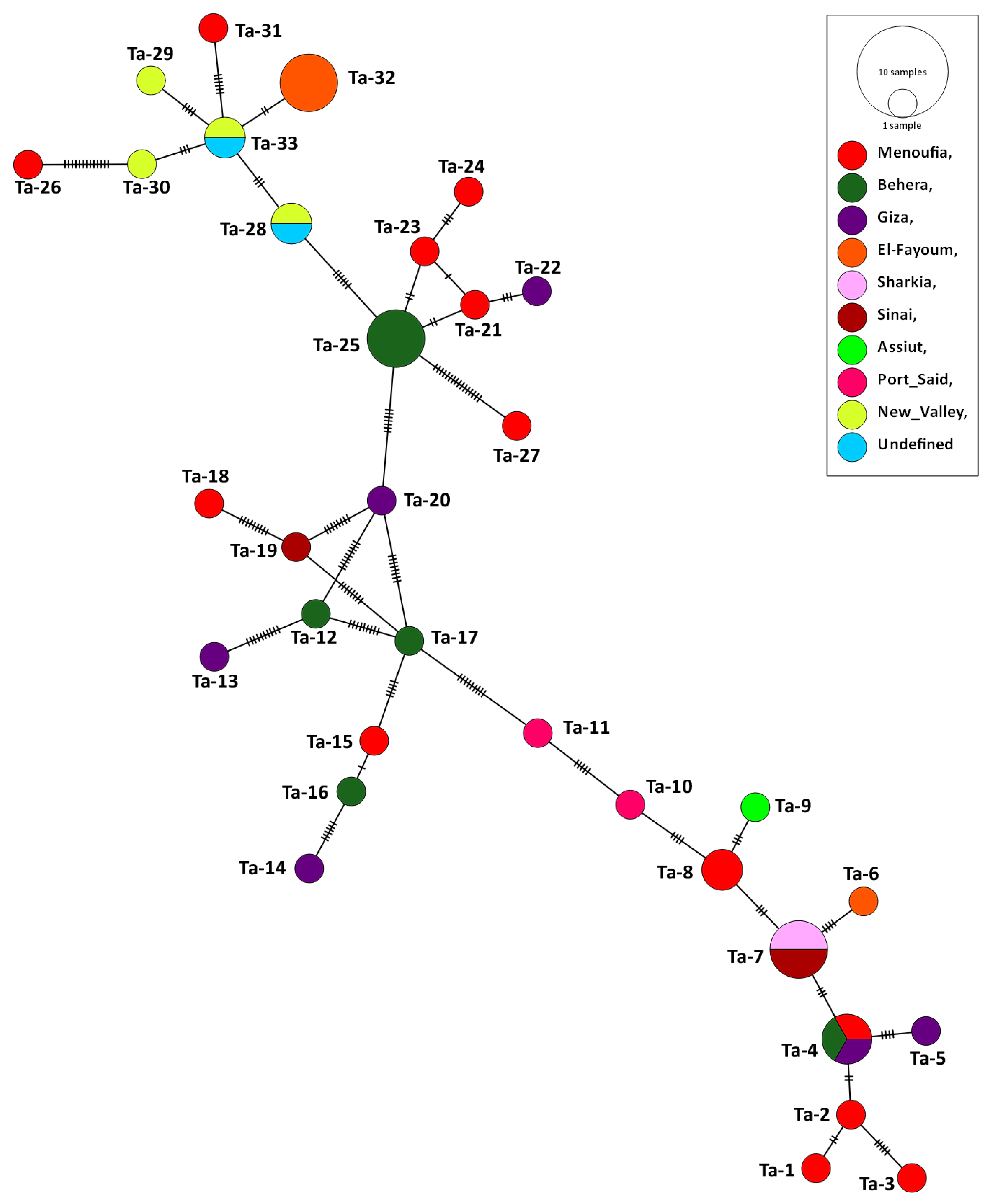 Pathogens 11 00912 g005
