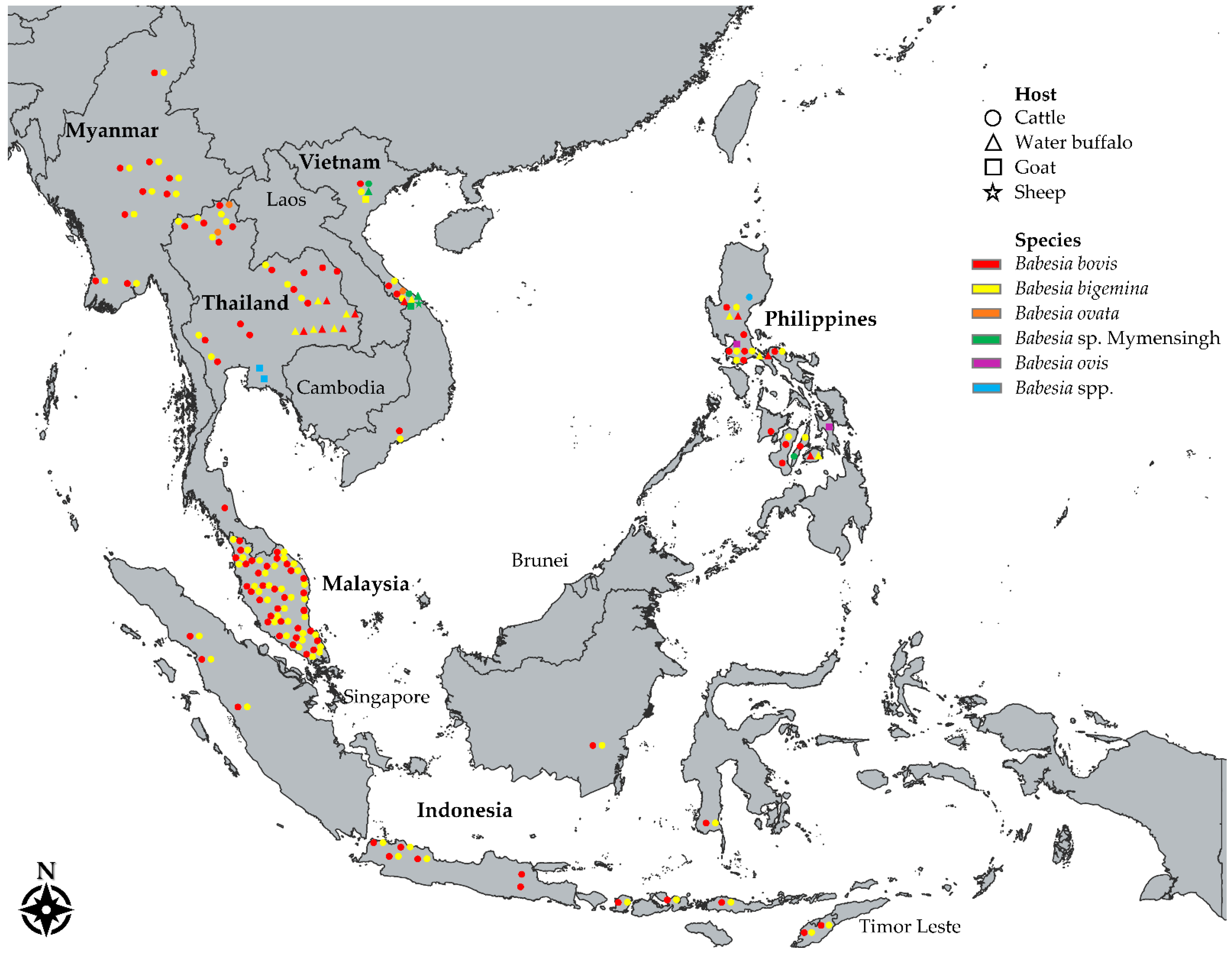 Pathogens 11 00915 g001