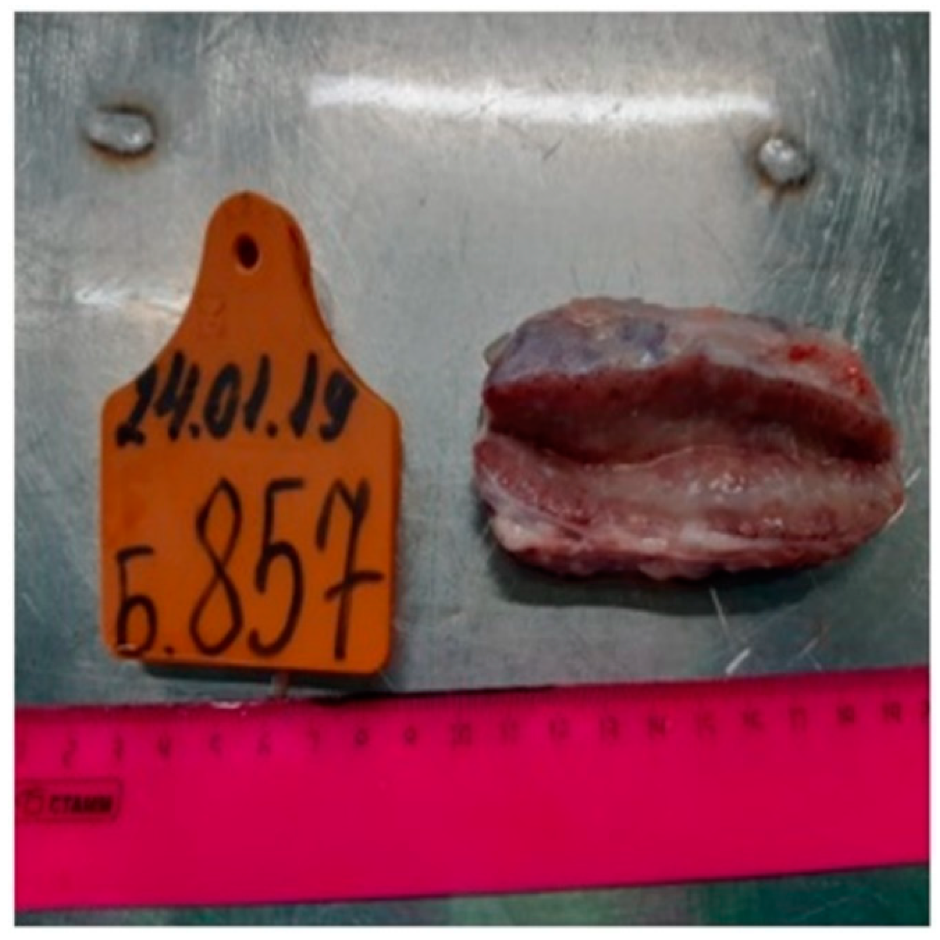 Pathogens 11 00920 g003