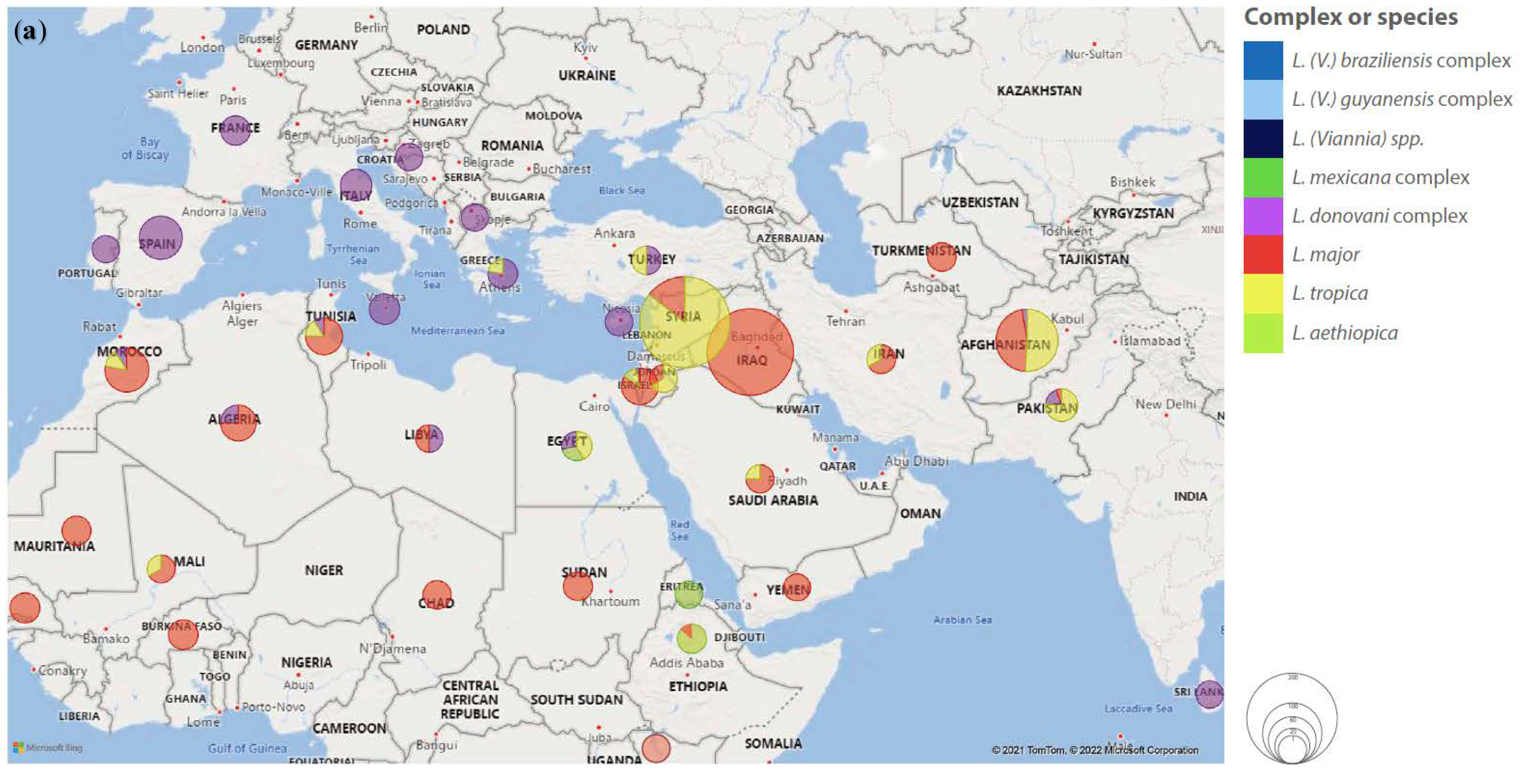 Pathogens 11 00921 g005a
