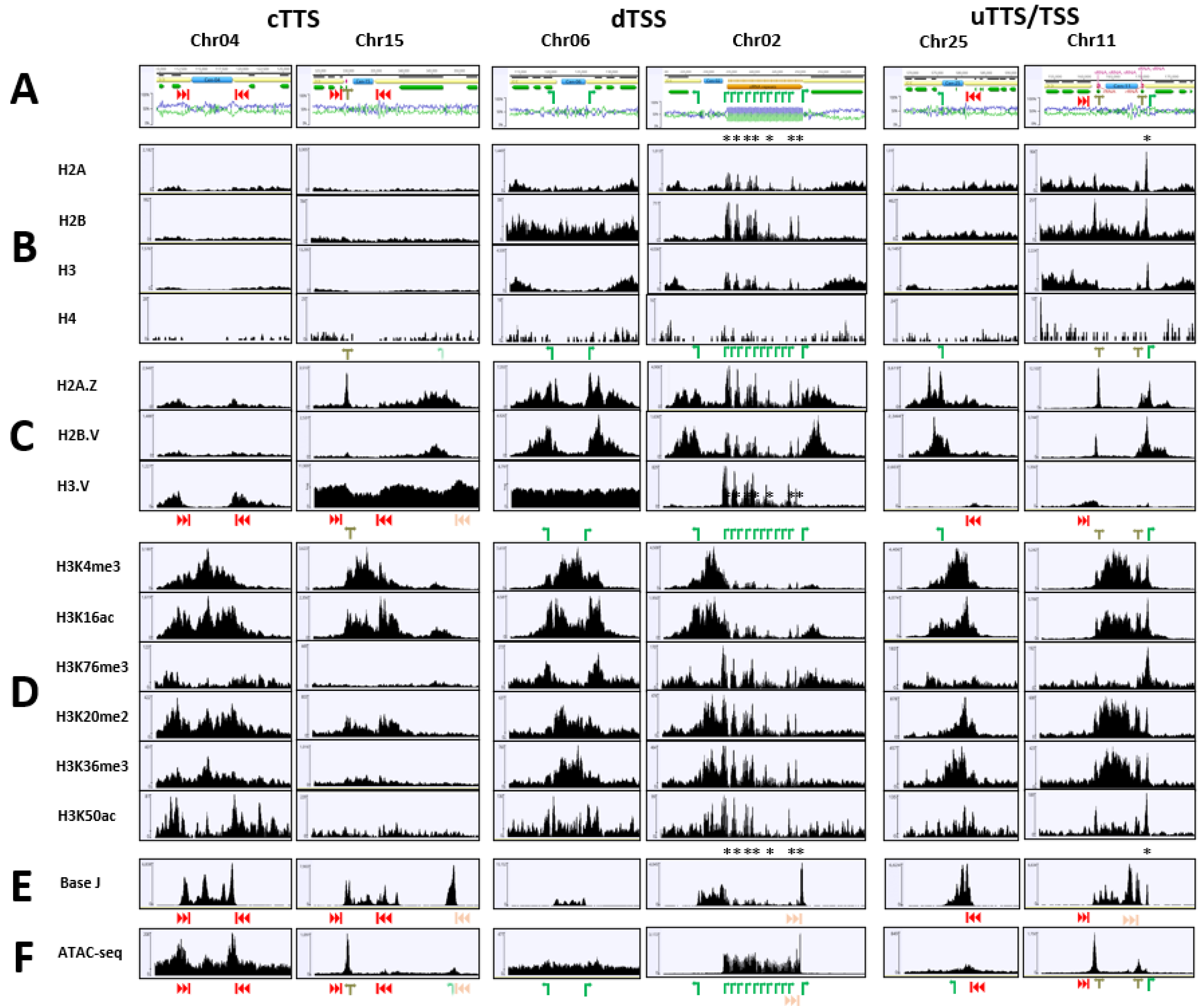 Pathogens 11 00930 g002