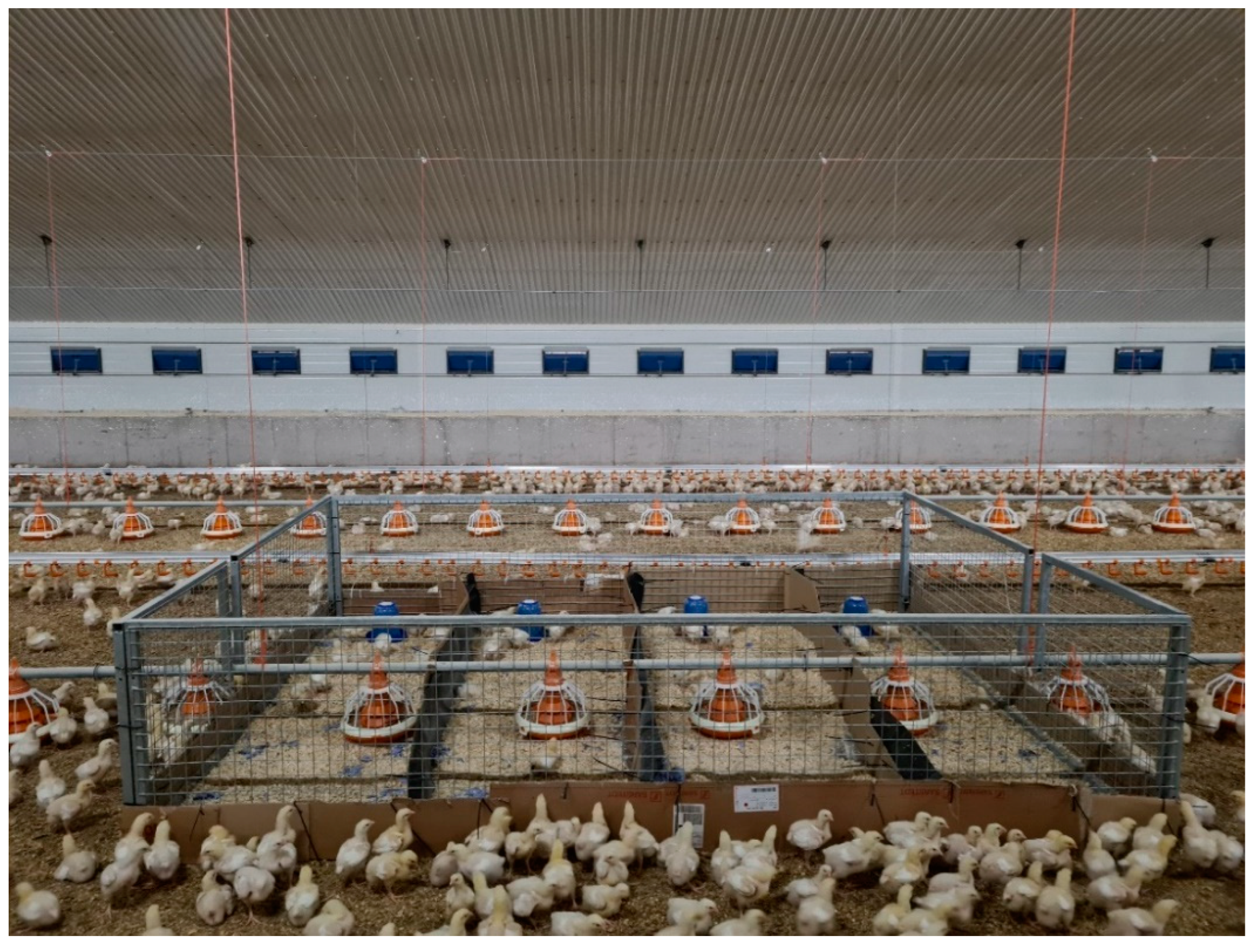 Pathogens 11 00932 g007