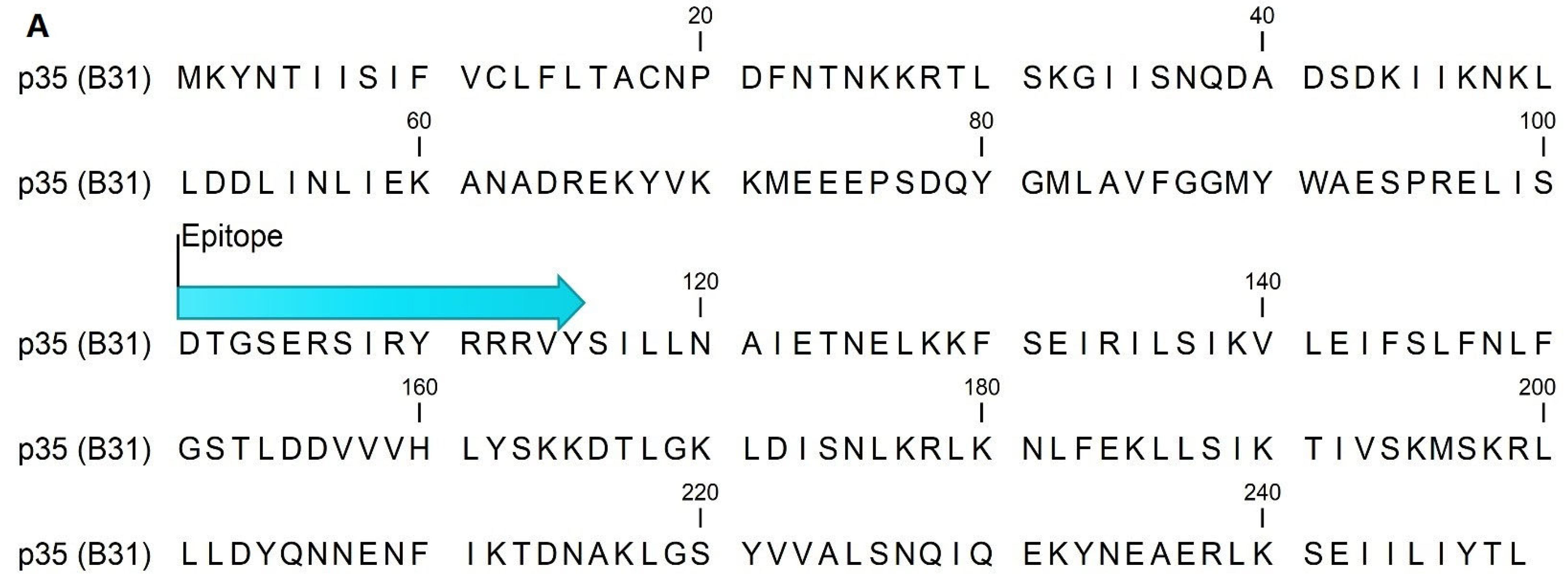 Pathogens 11 00944 g001a