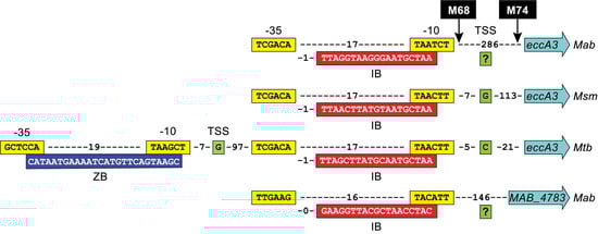 Pathogens 11 00953 g005