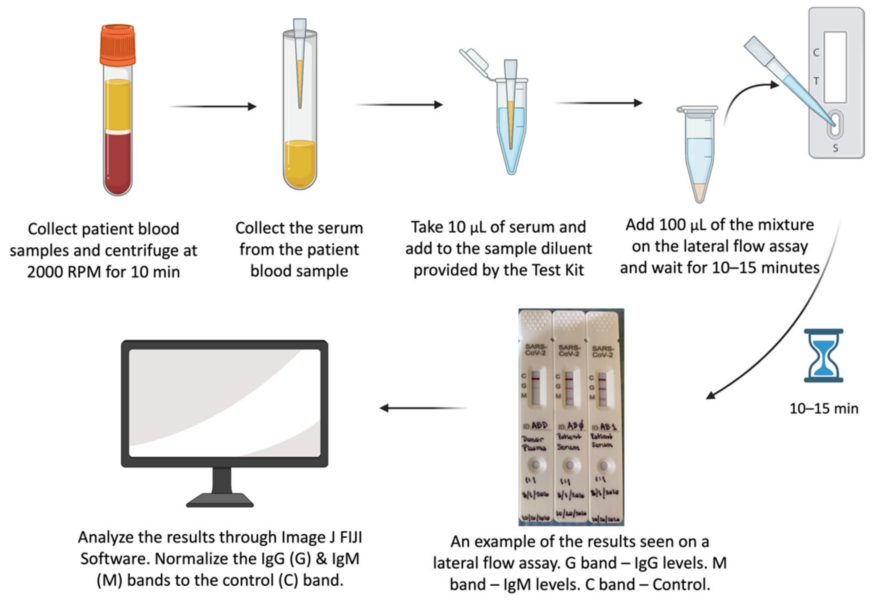 Pathogens 11 00958 g001