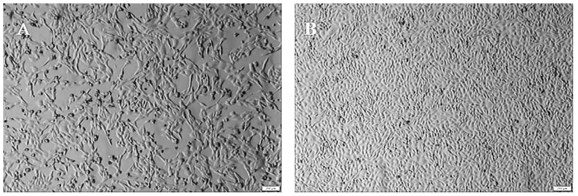 Pathogens 11 00962 g001