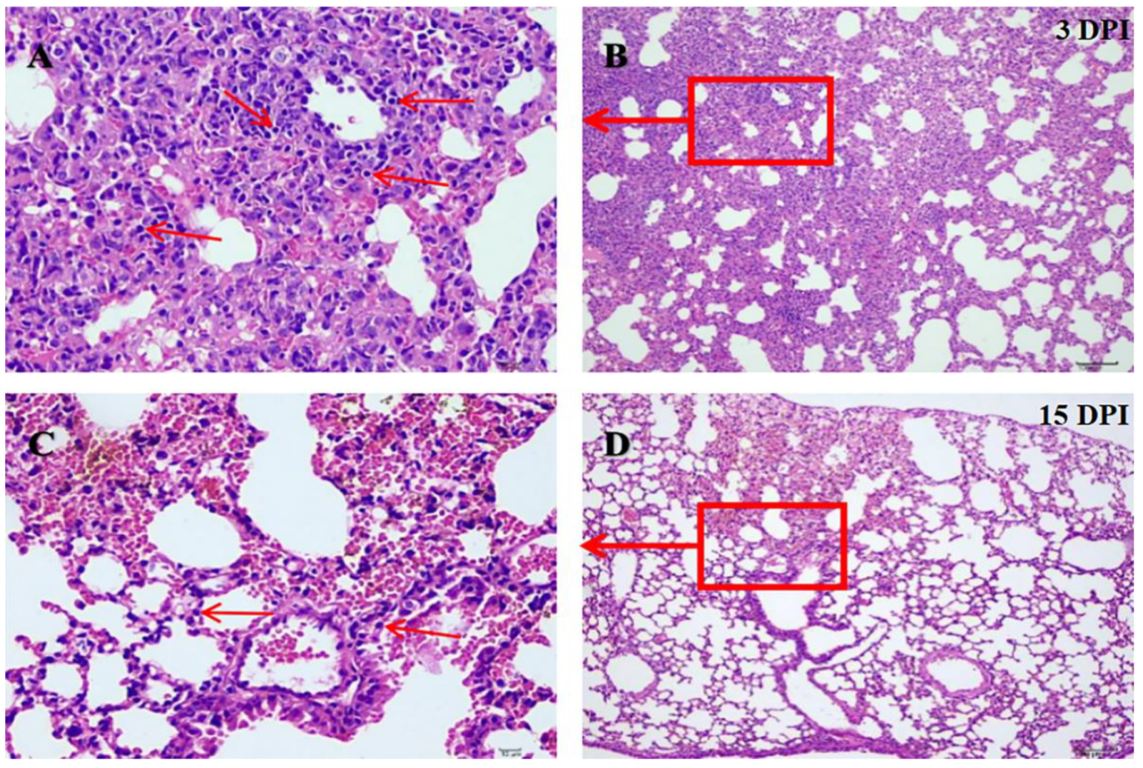 Pathogens 11 00962 g003