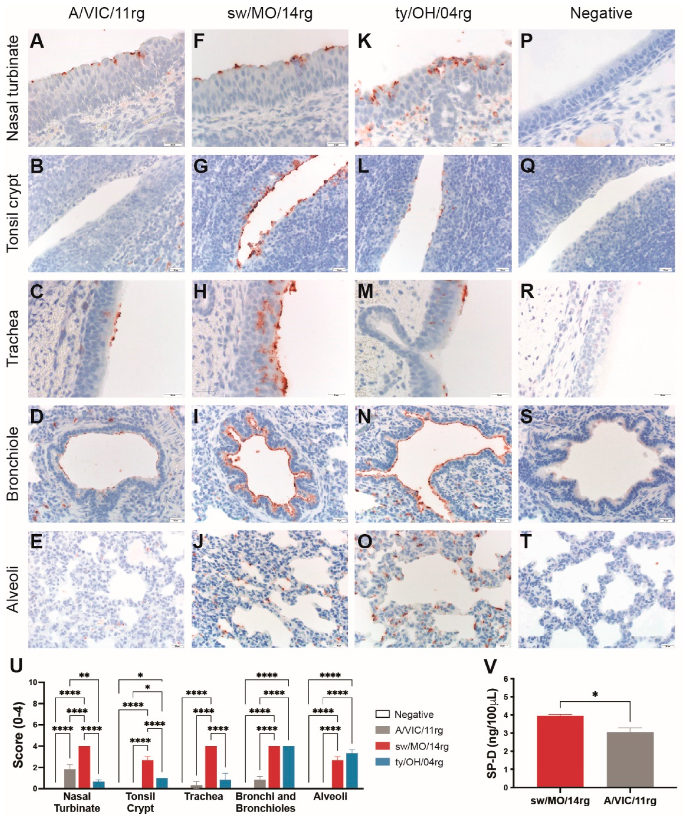 Pathogens 11 00967 g002