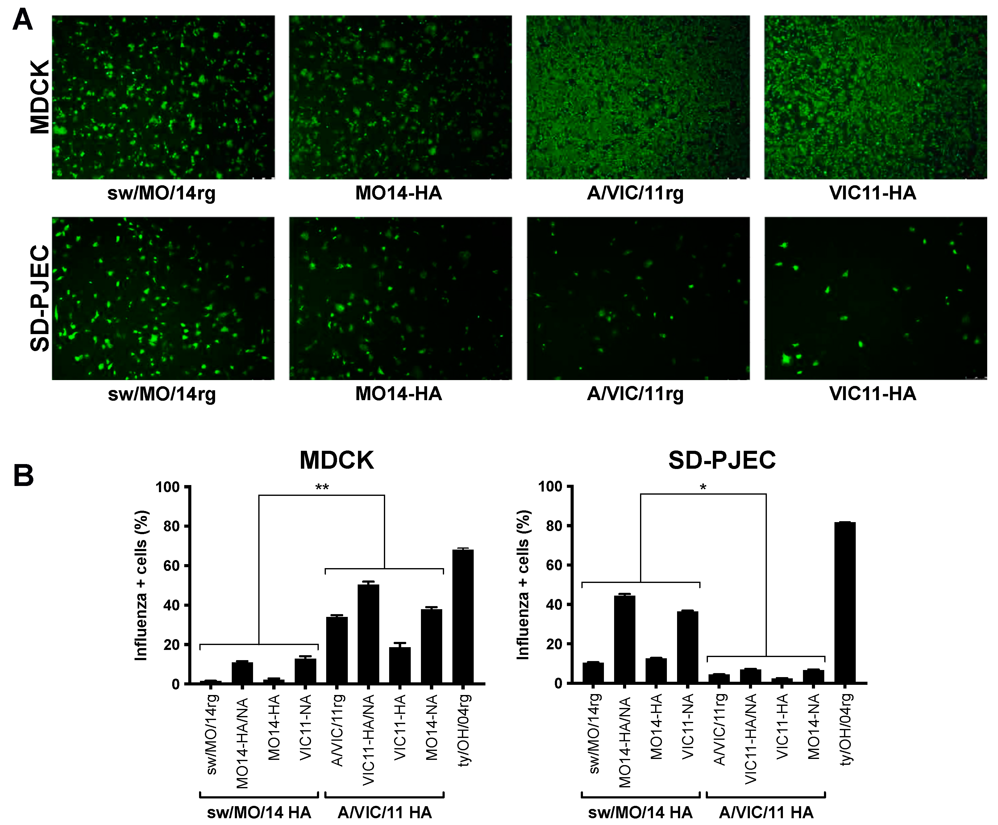 Pathogens 11 00967 g003