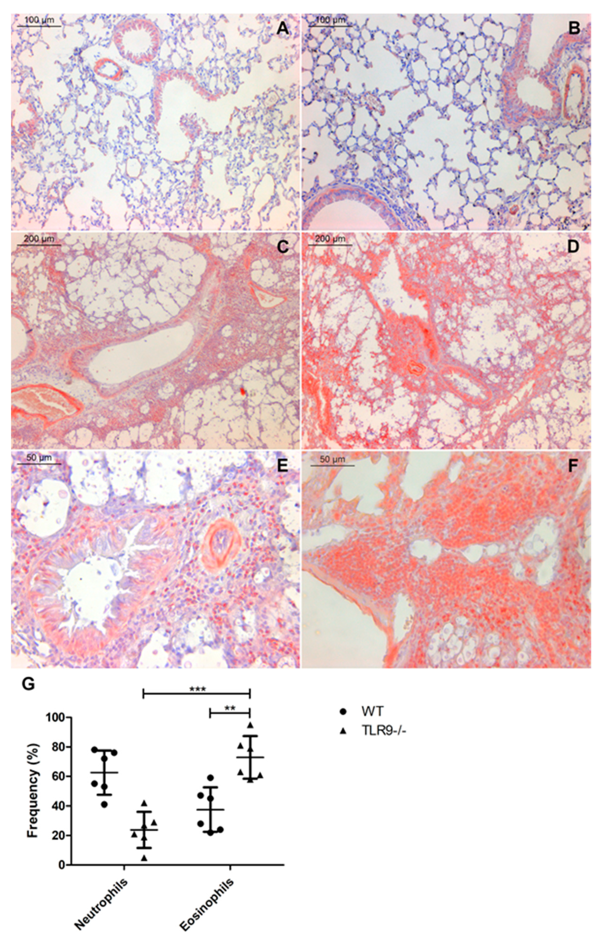 Pathogens 11 00987 g002