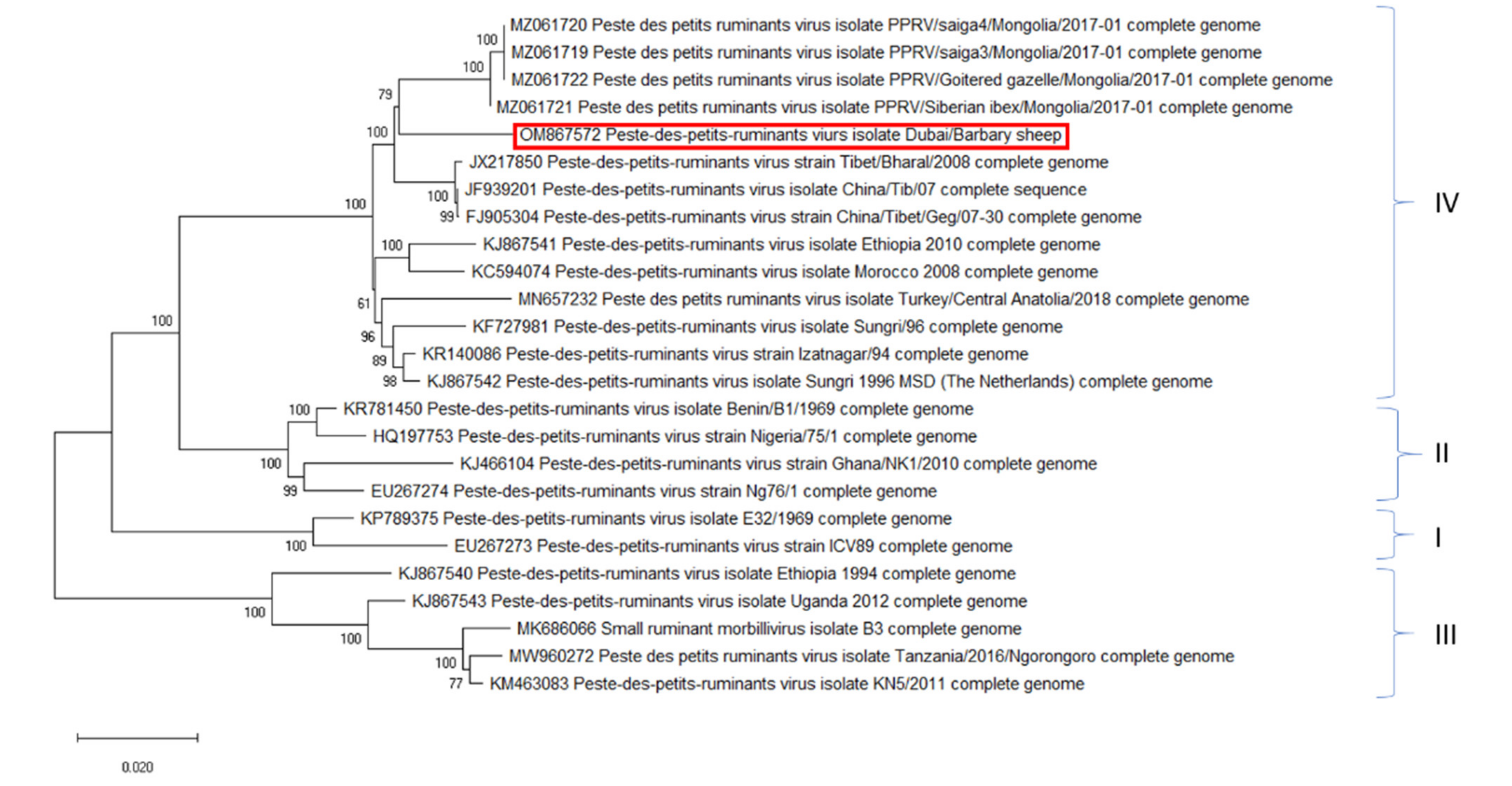 Pathogens 11 00991 g007