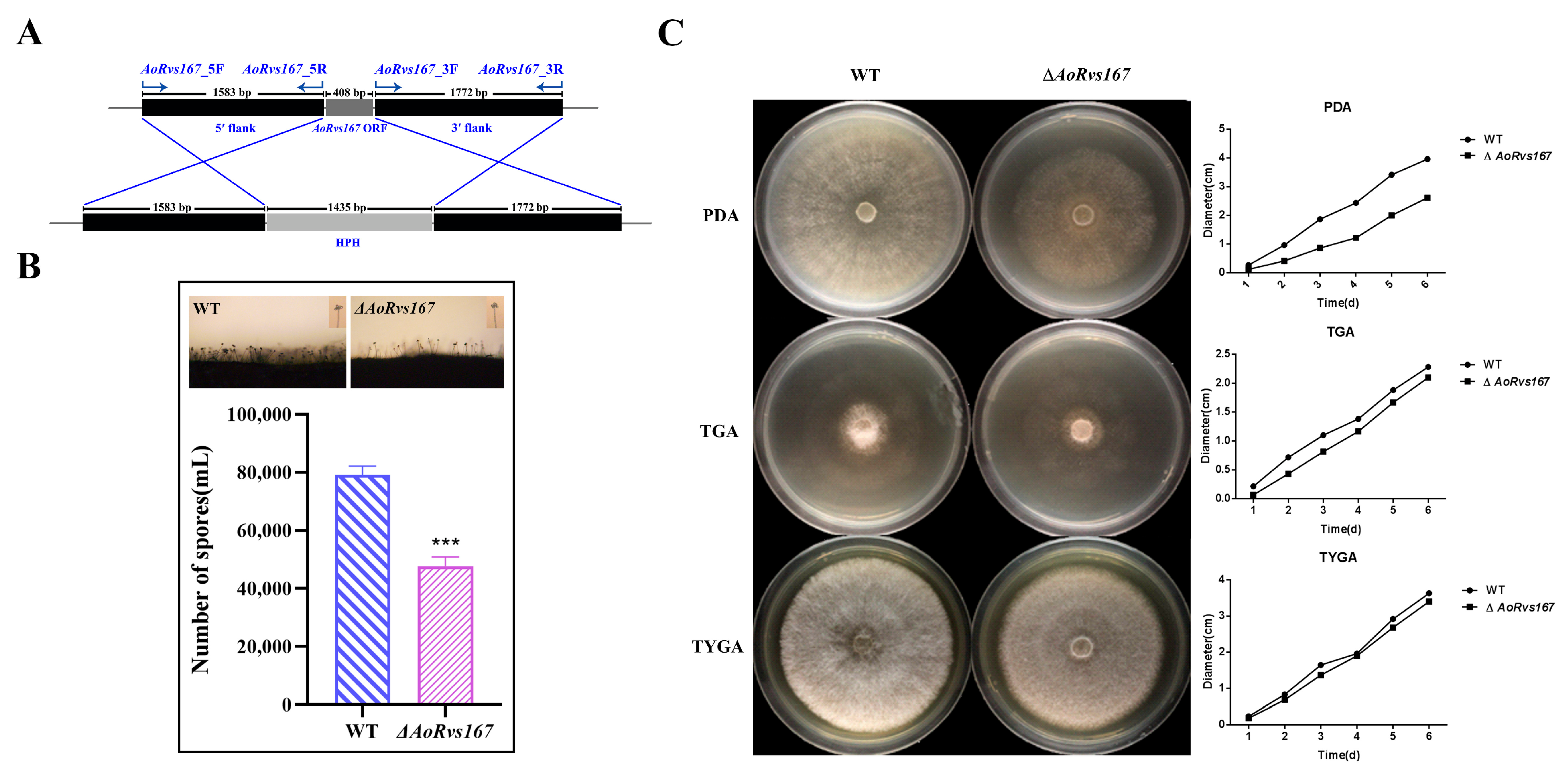 Pathogens 11 00997 g002 Pathogens 11 00997 g002