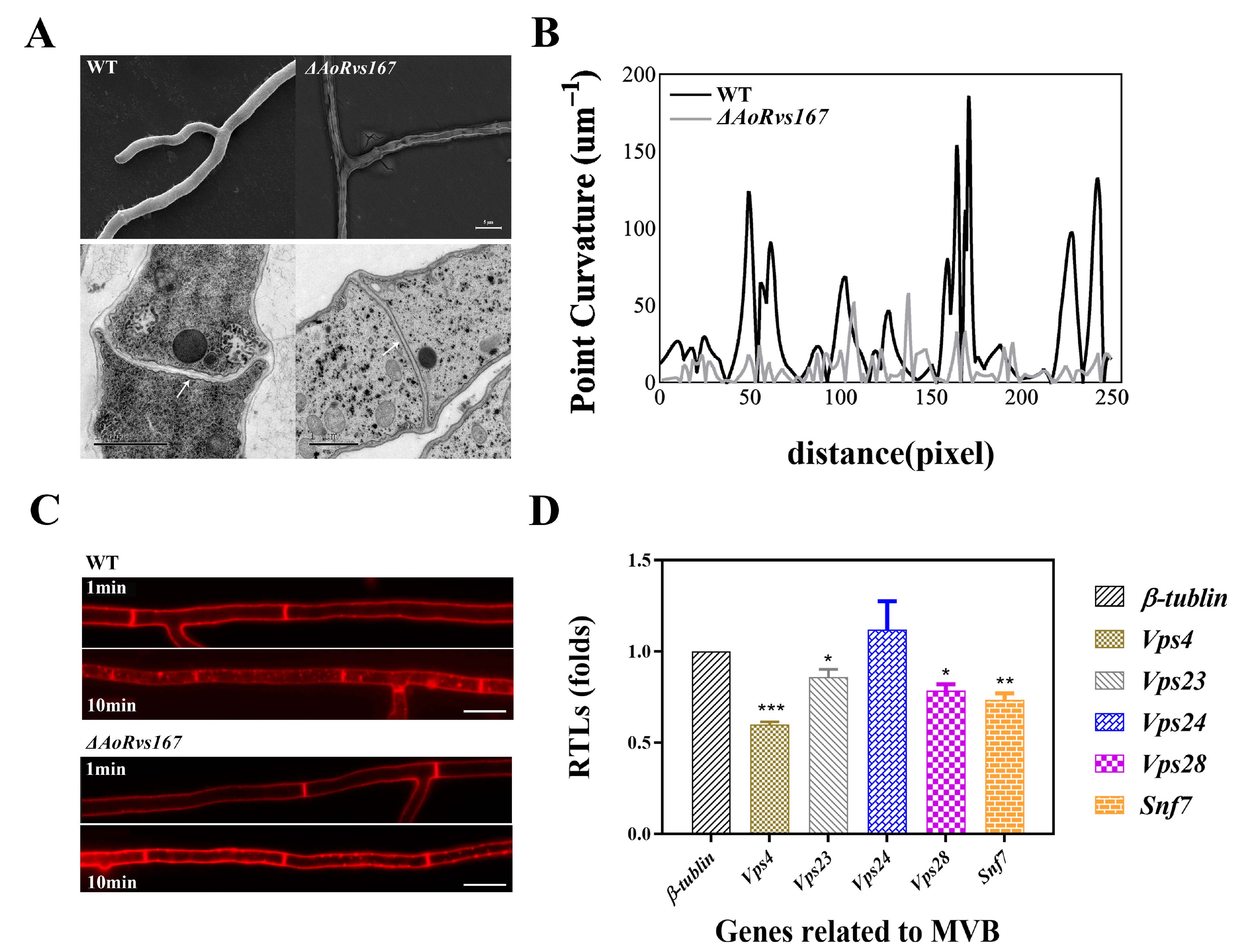 Pathogens 11 00997 g003 Pathogens 11 00997 g003