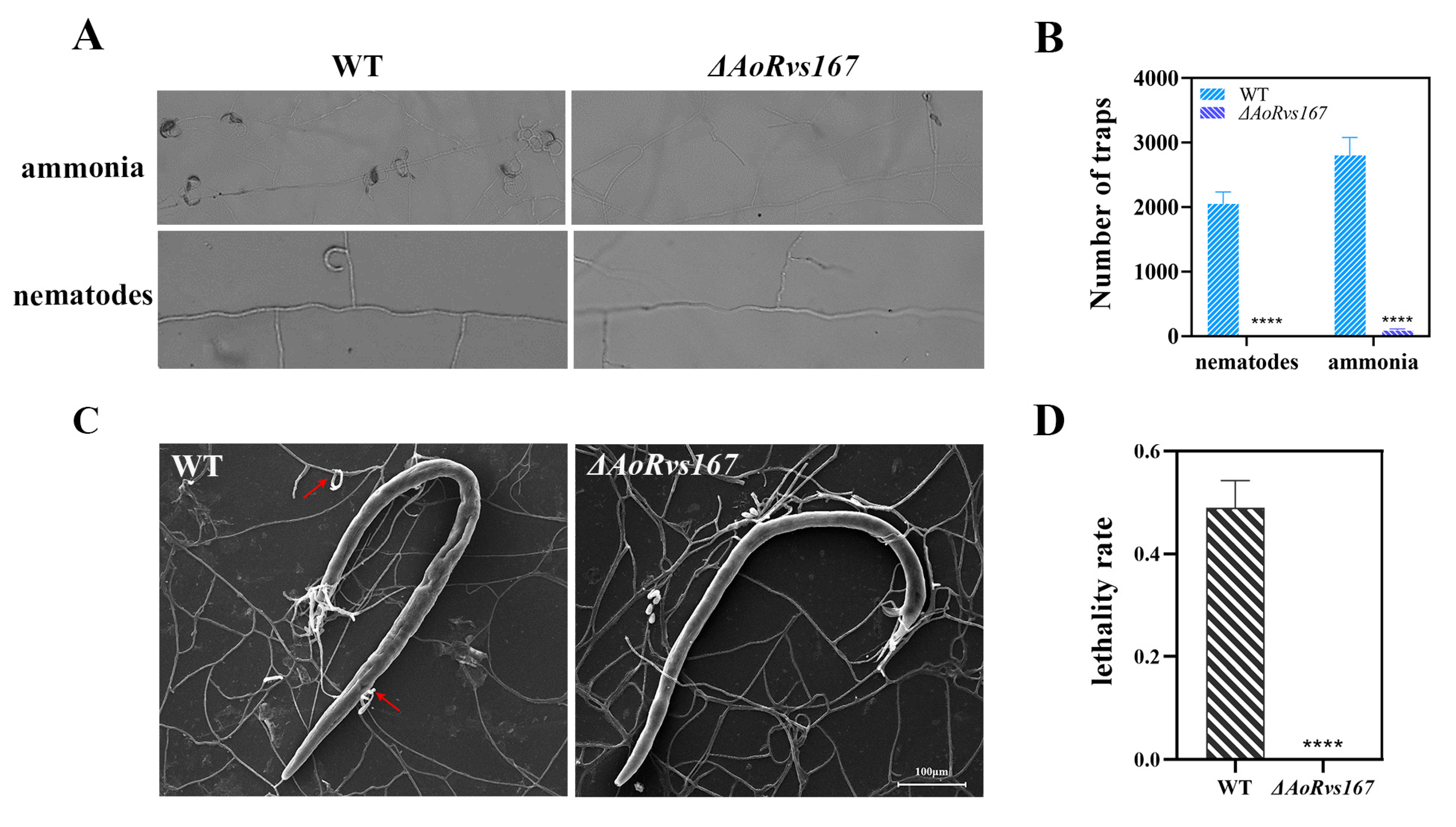 Pathogens 11 00997 g004 Pathogens 11 00997 g004
