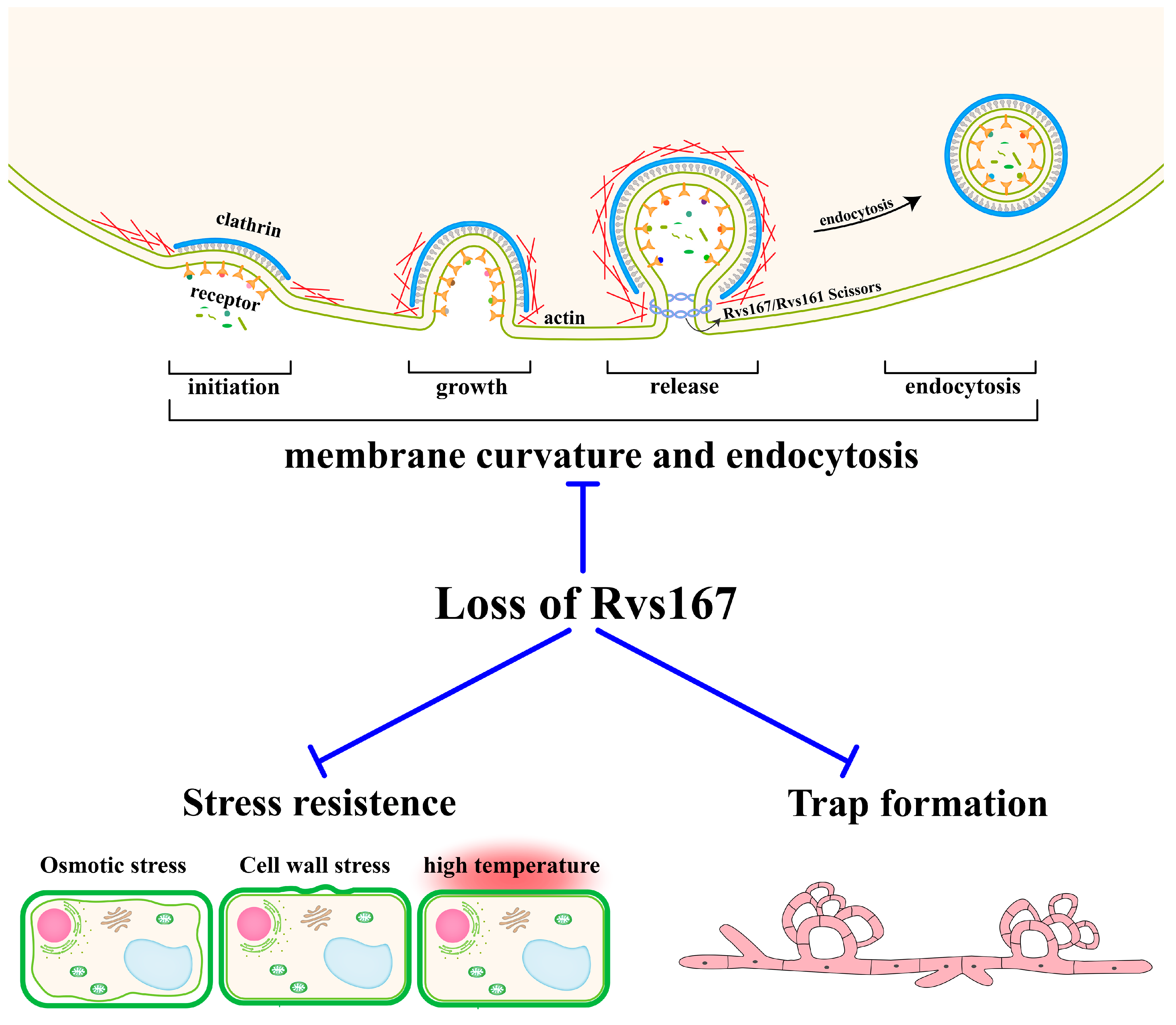 Pathogens 11 00997 g006 Pathogens 11 00997 g006