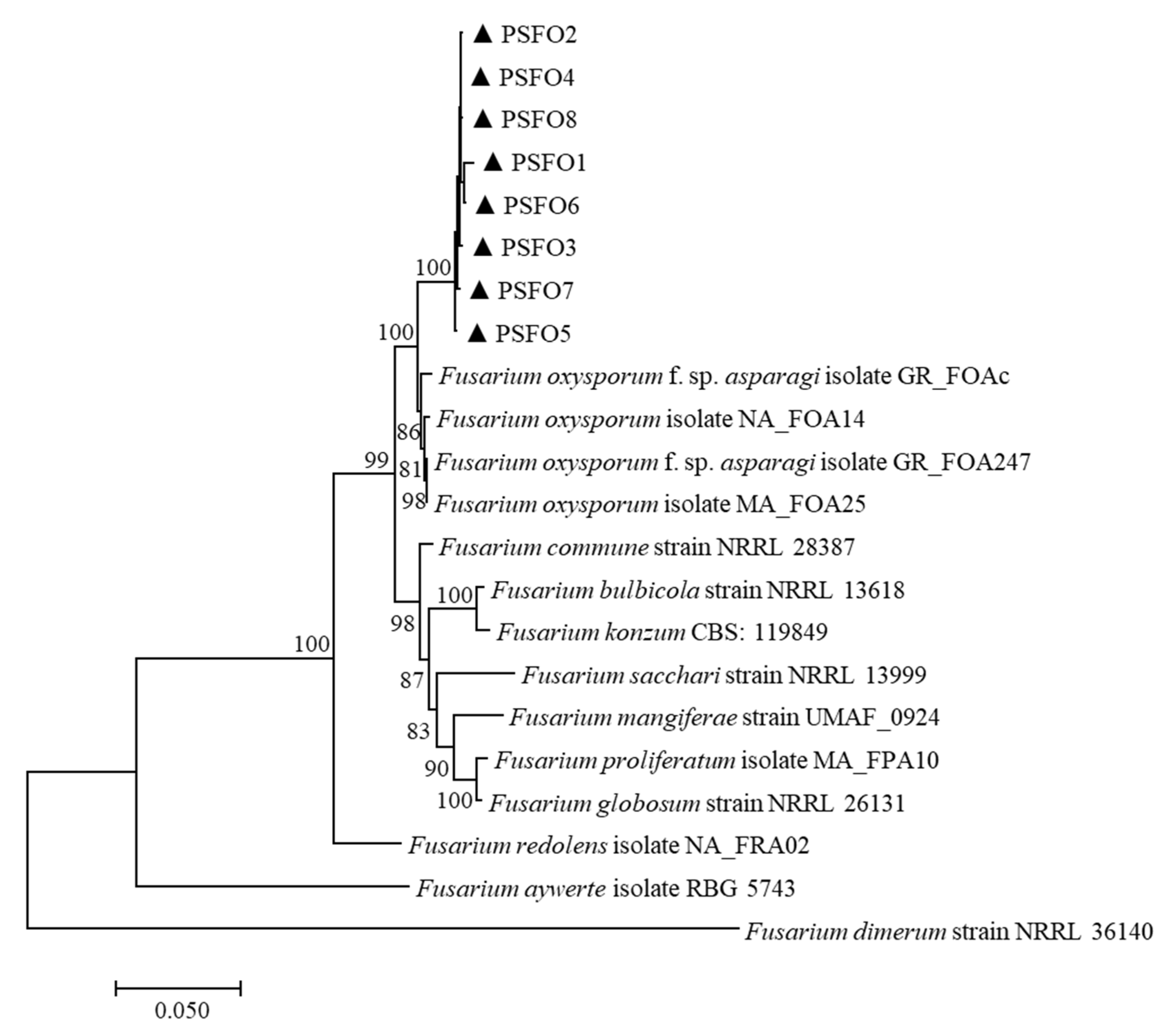 Pathogens 11 00999 g002