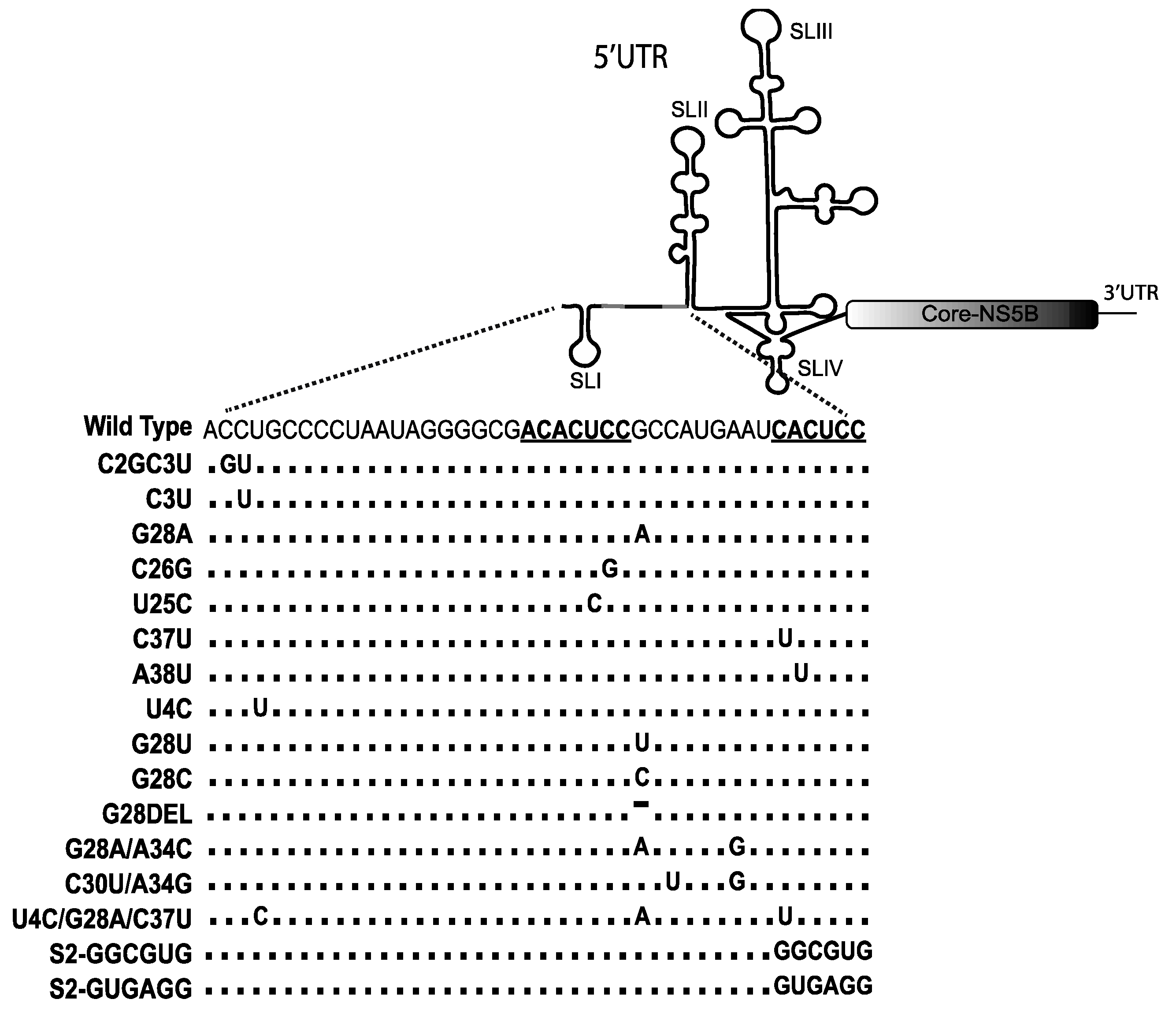 Pathogens 11 01005 g002