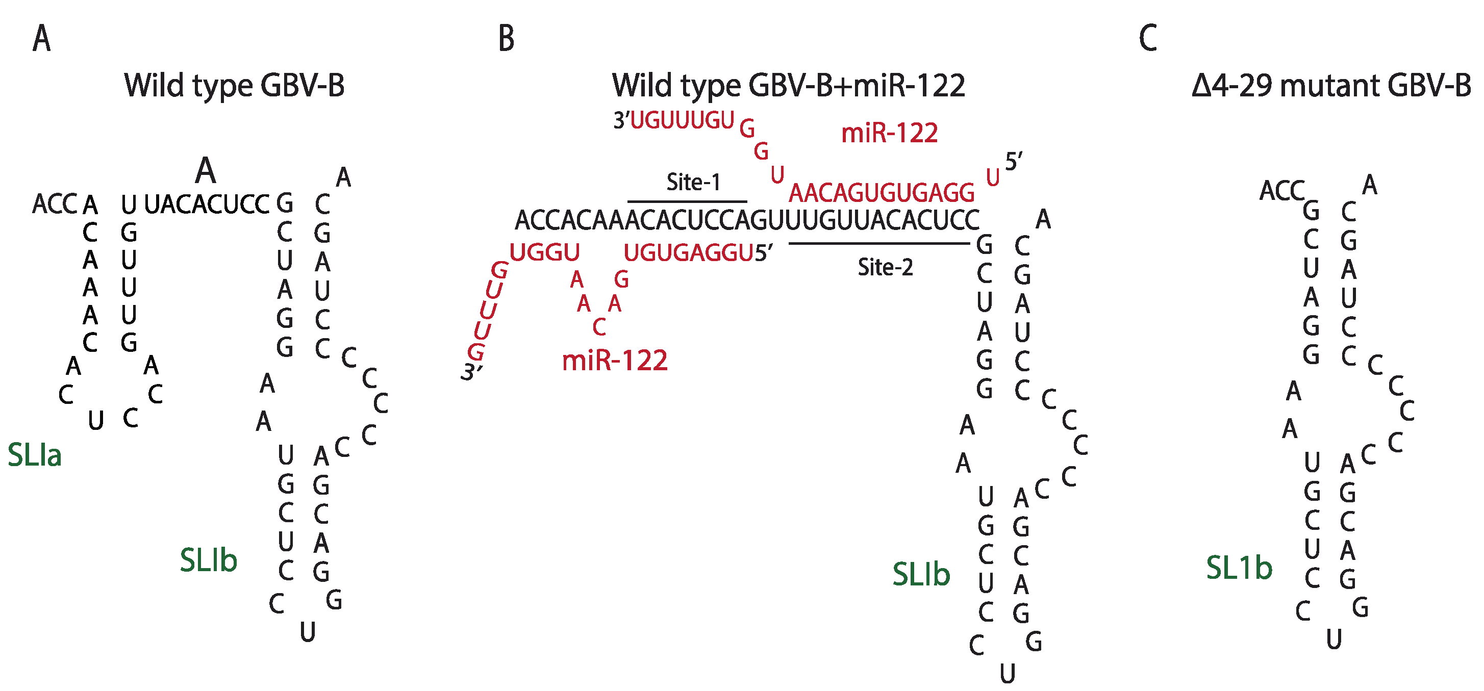 Pathogens 11 01005 g004