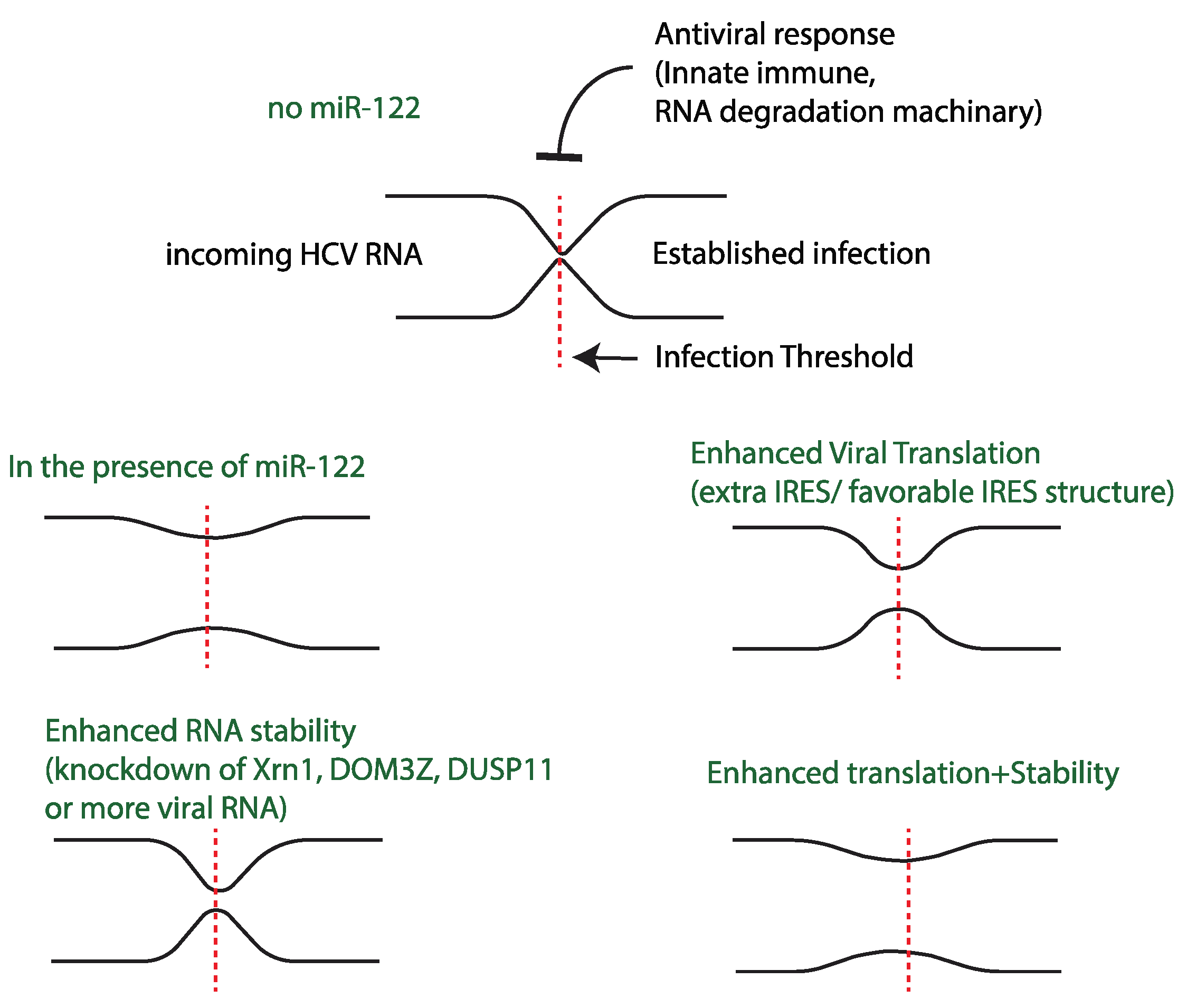 Pathogens 11 01005 g005