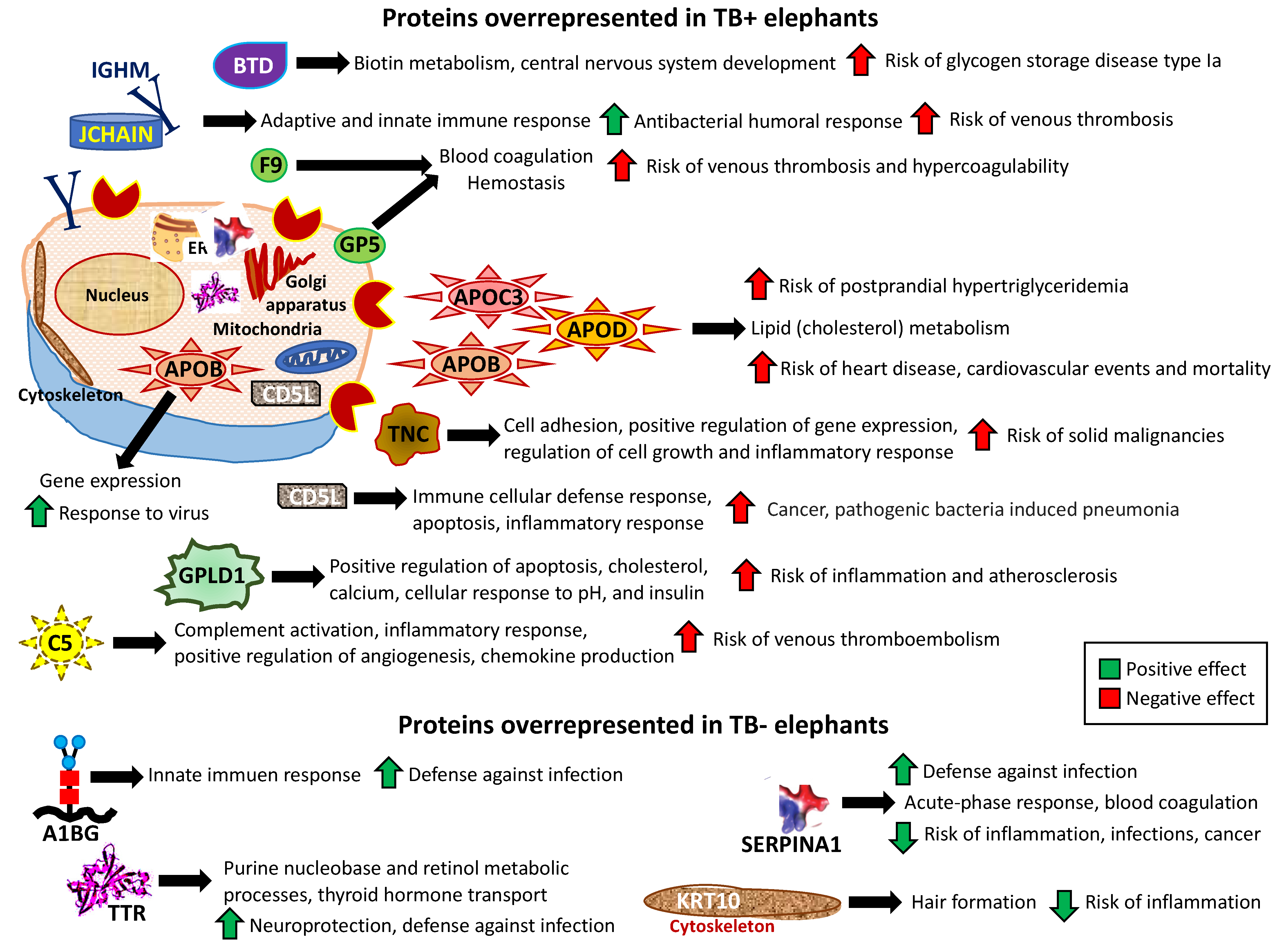 Pathogens 11 01010 g004