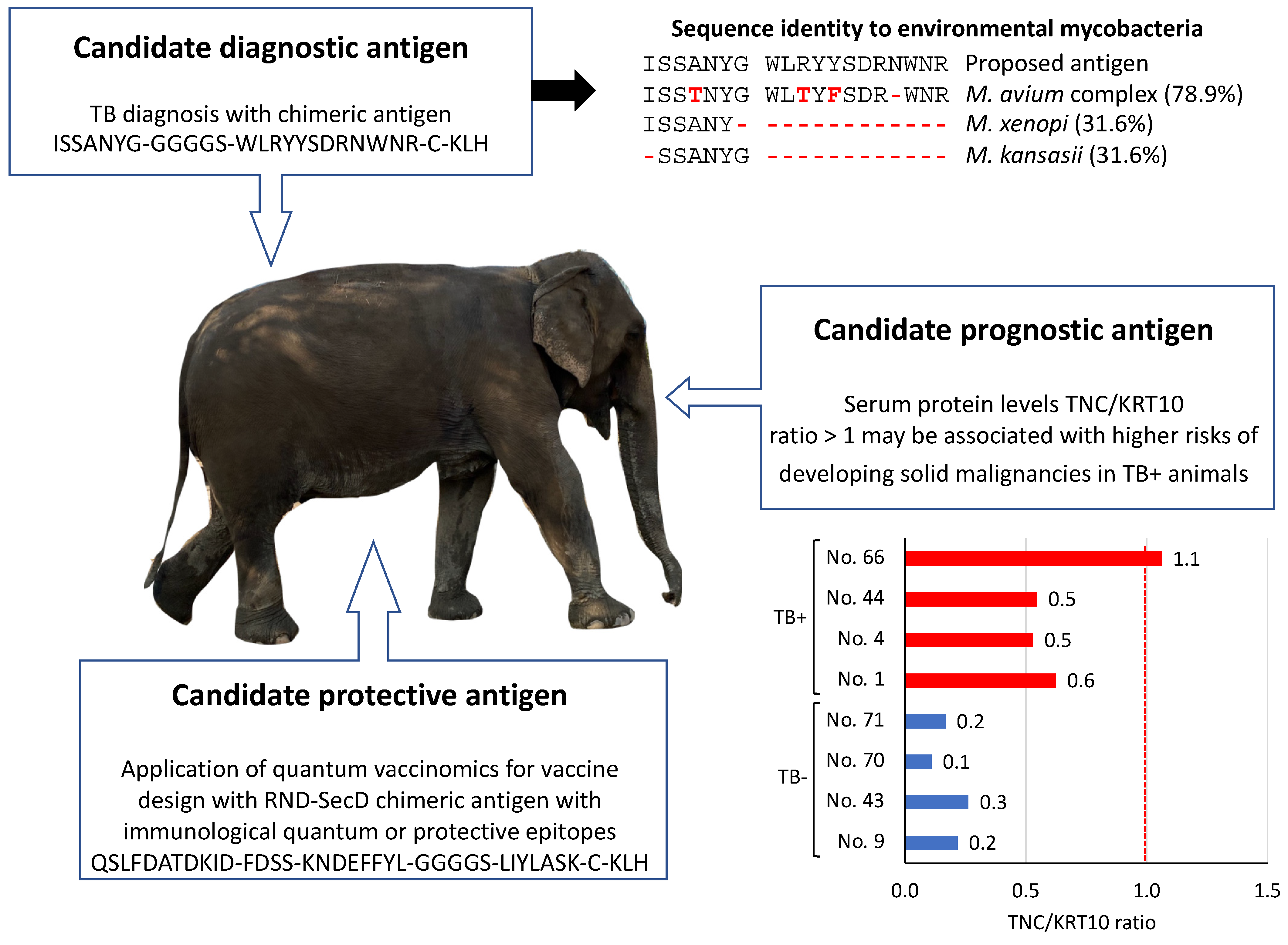 Pathogens 11 01010 g005