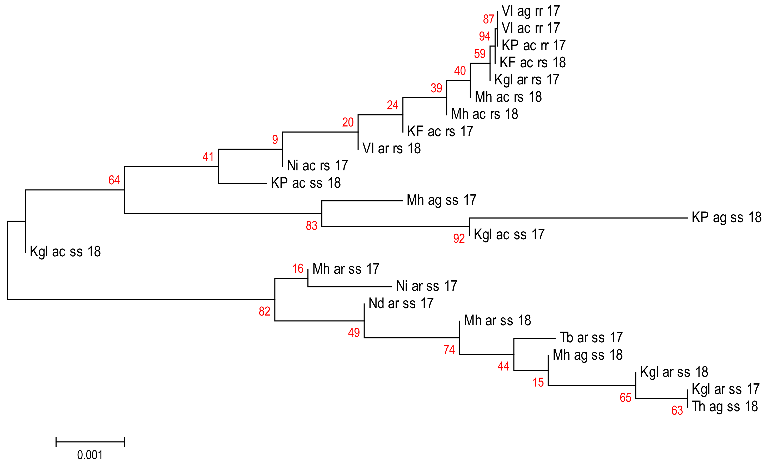 Pathogens 11 01021 g004