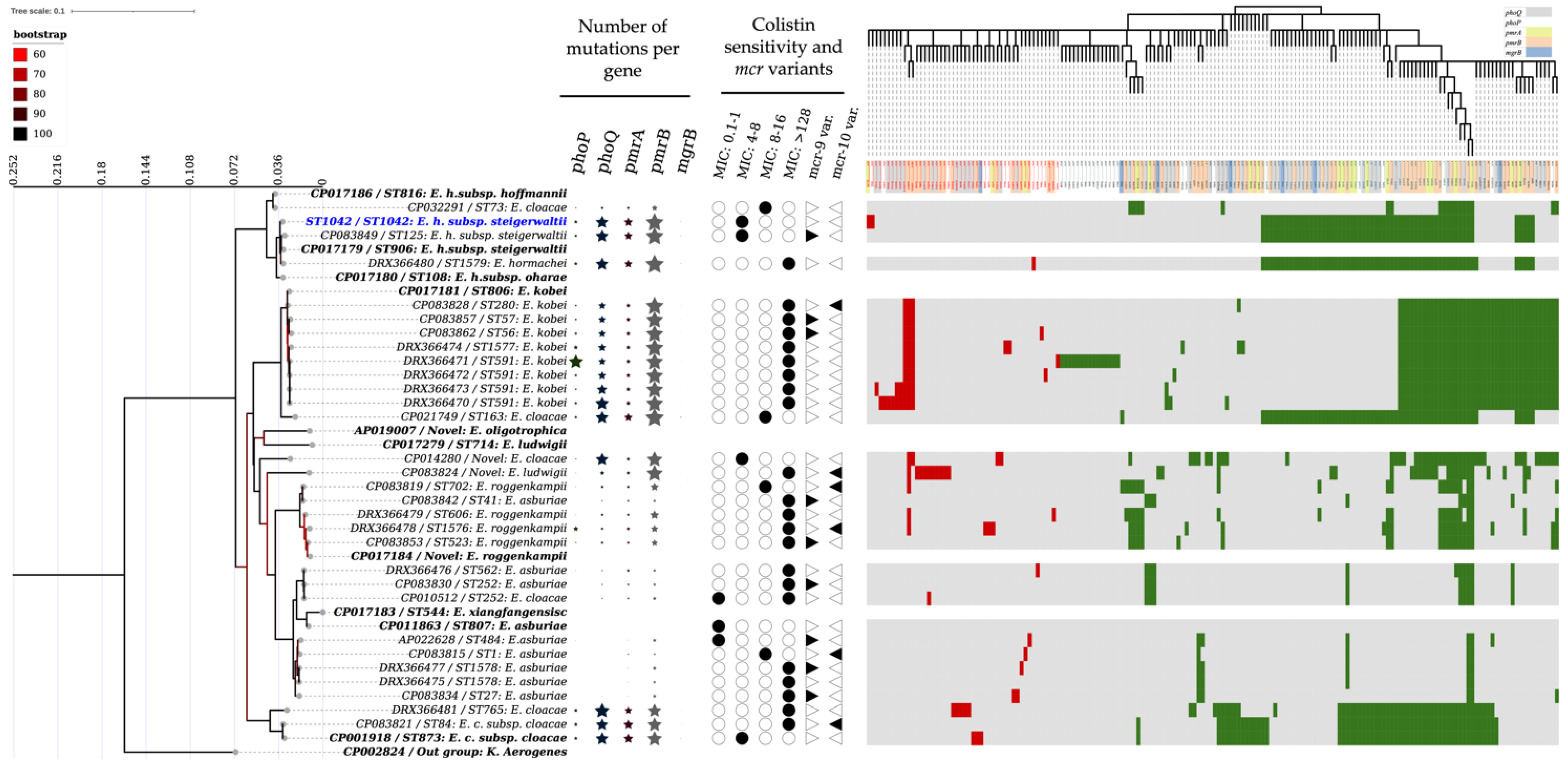 Pathogens 11 01022 g001