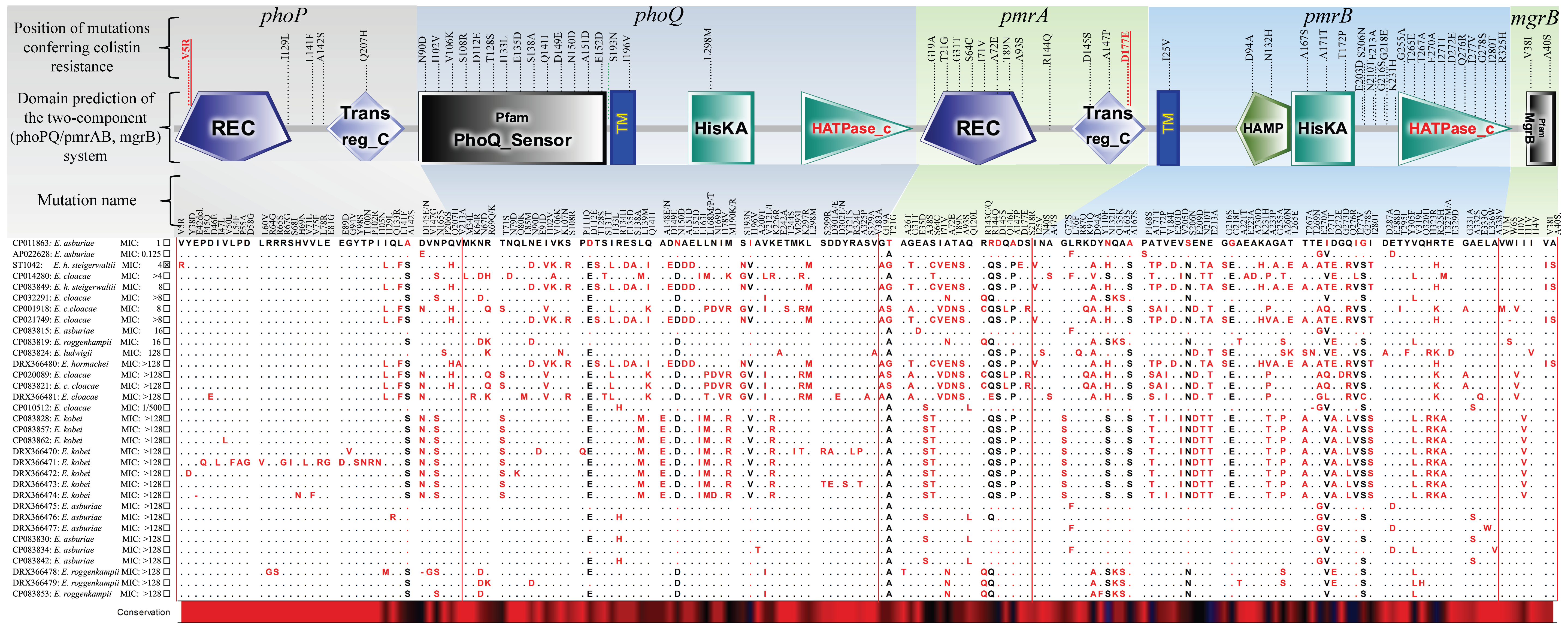 Pathogens 11 01022 g002
