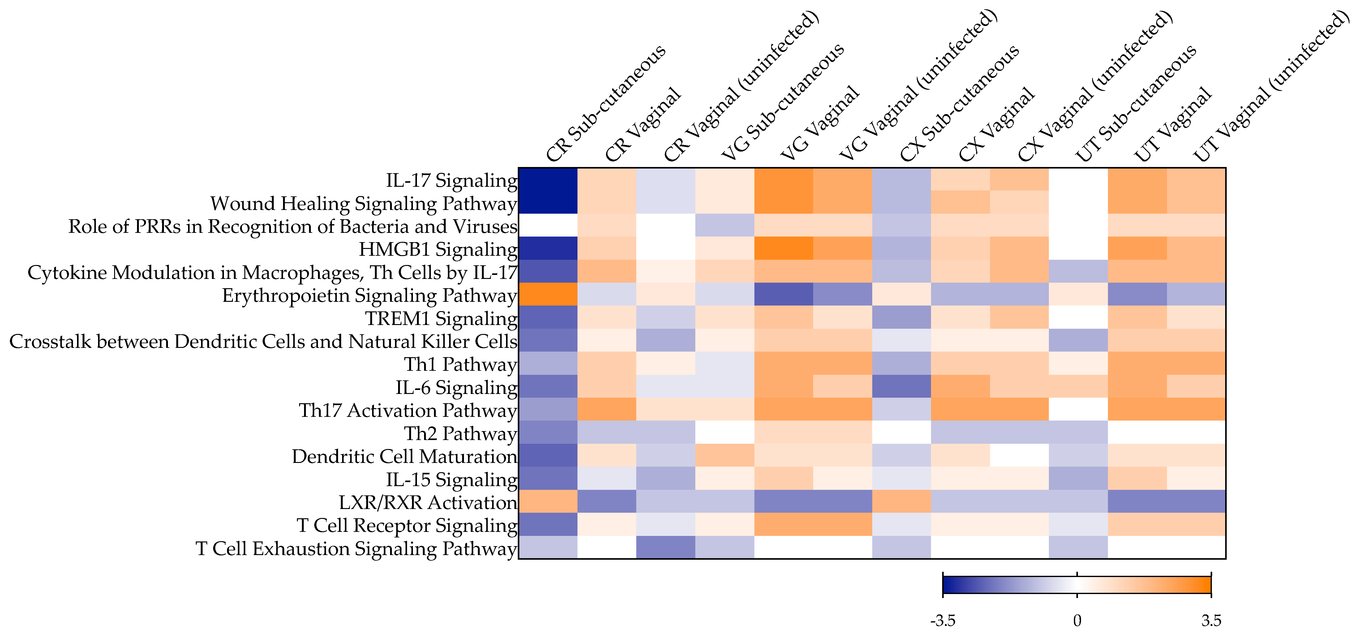 Pathogens 11 01033 g002