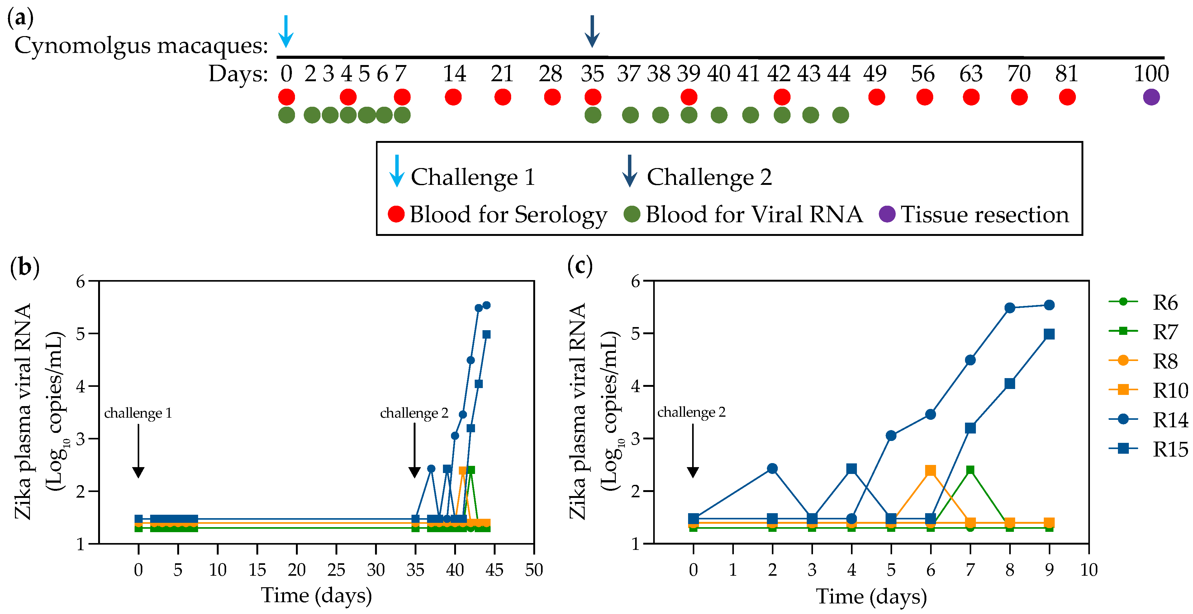 Pathogens 11 01033 g003