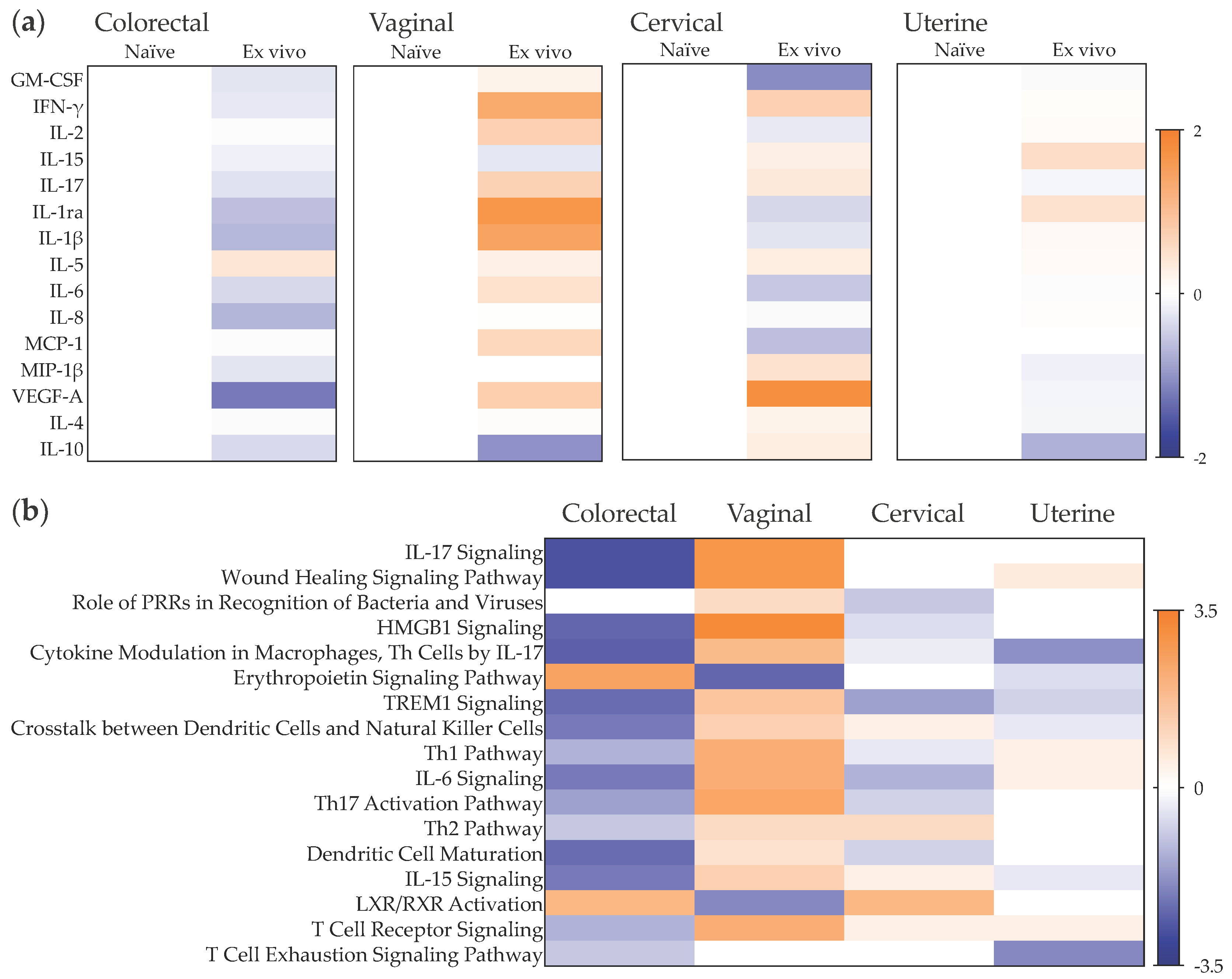 Pathogens 11 01033 g008