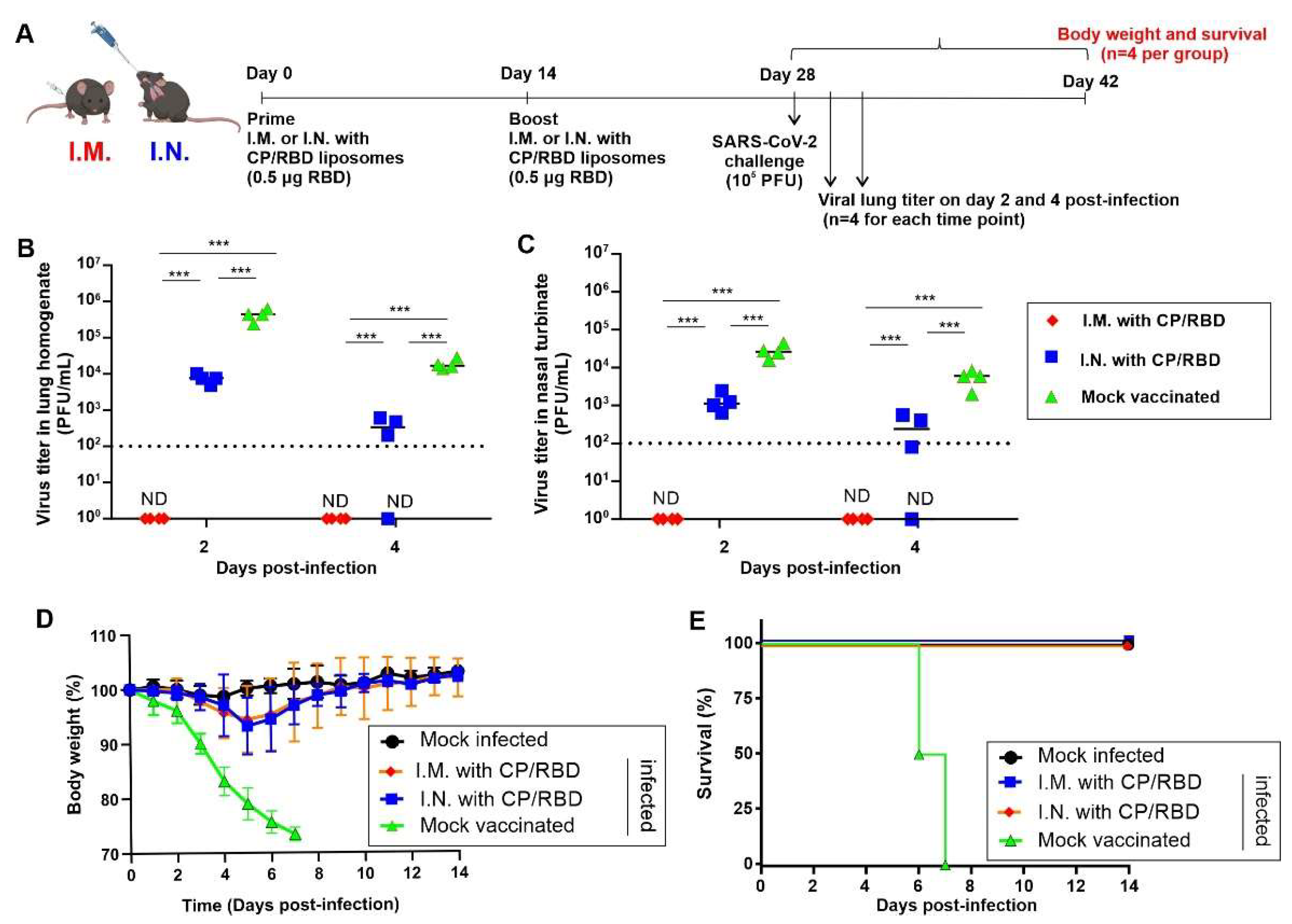 Pathogens 11 01035 g004