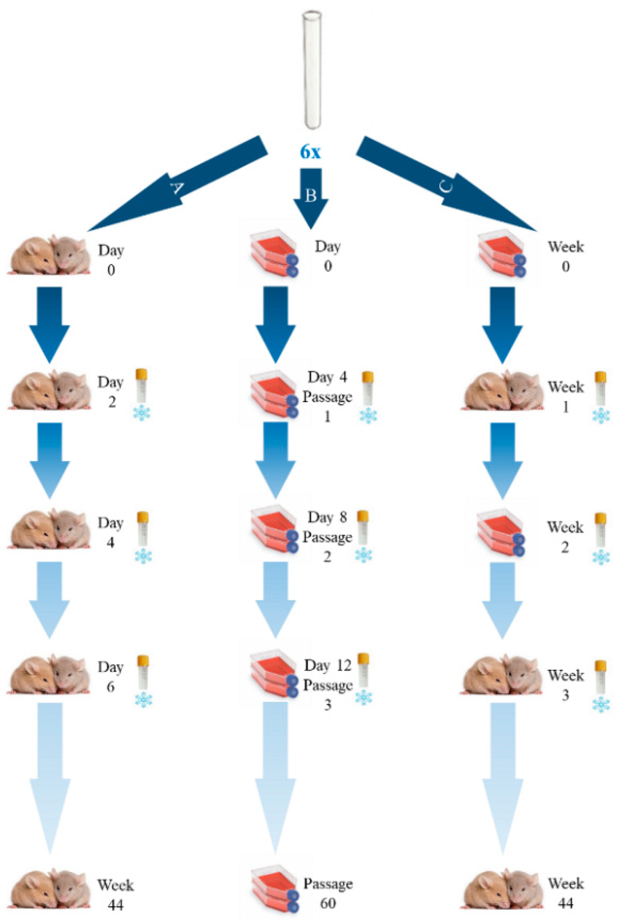 Pathogens 11 01038 g001