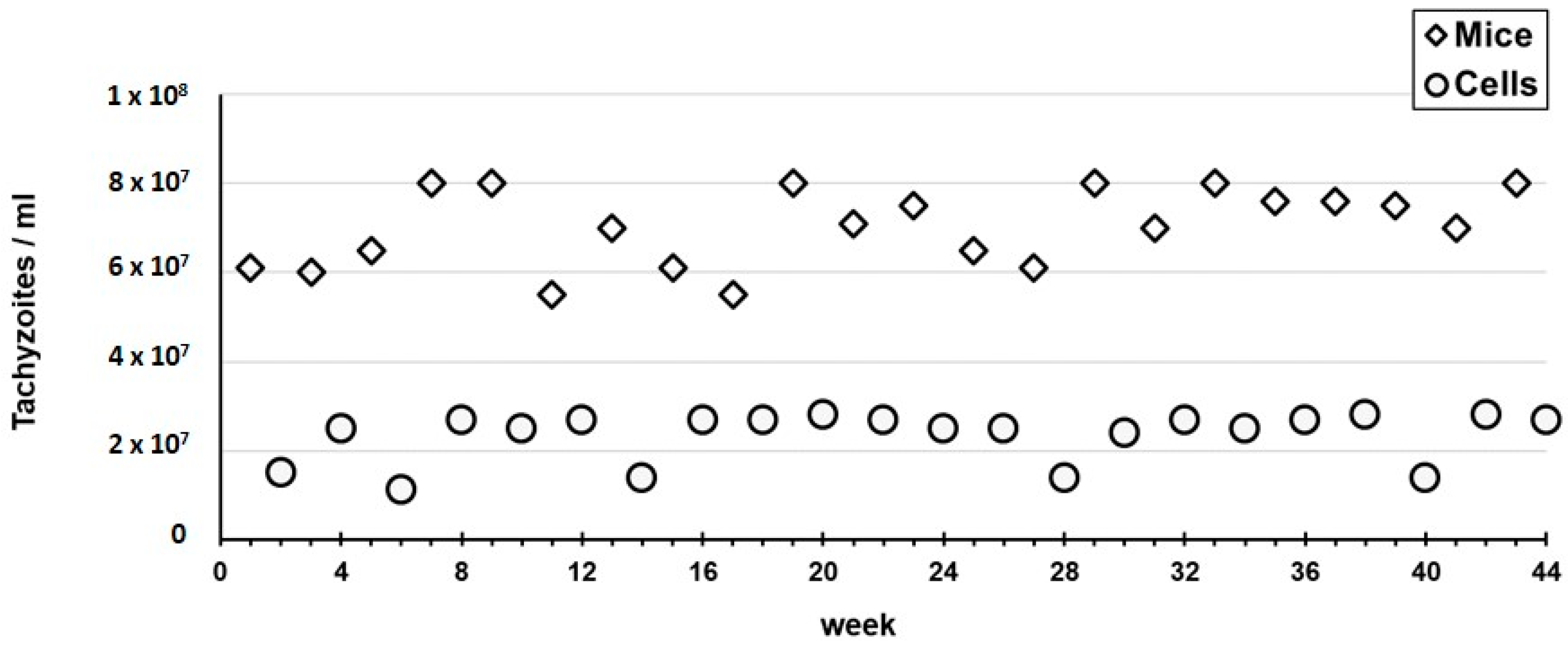 Pathogens 11 01038 g006