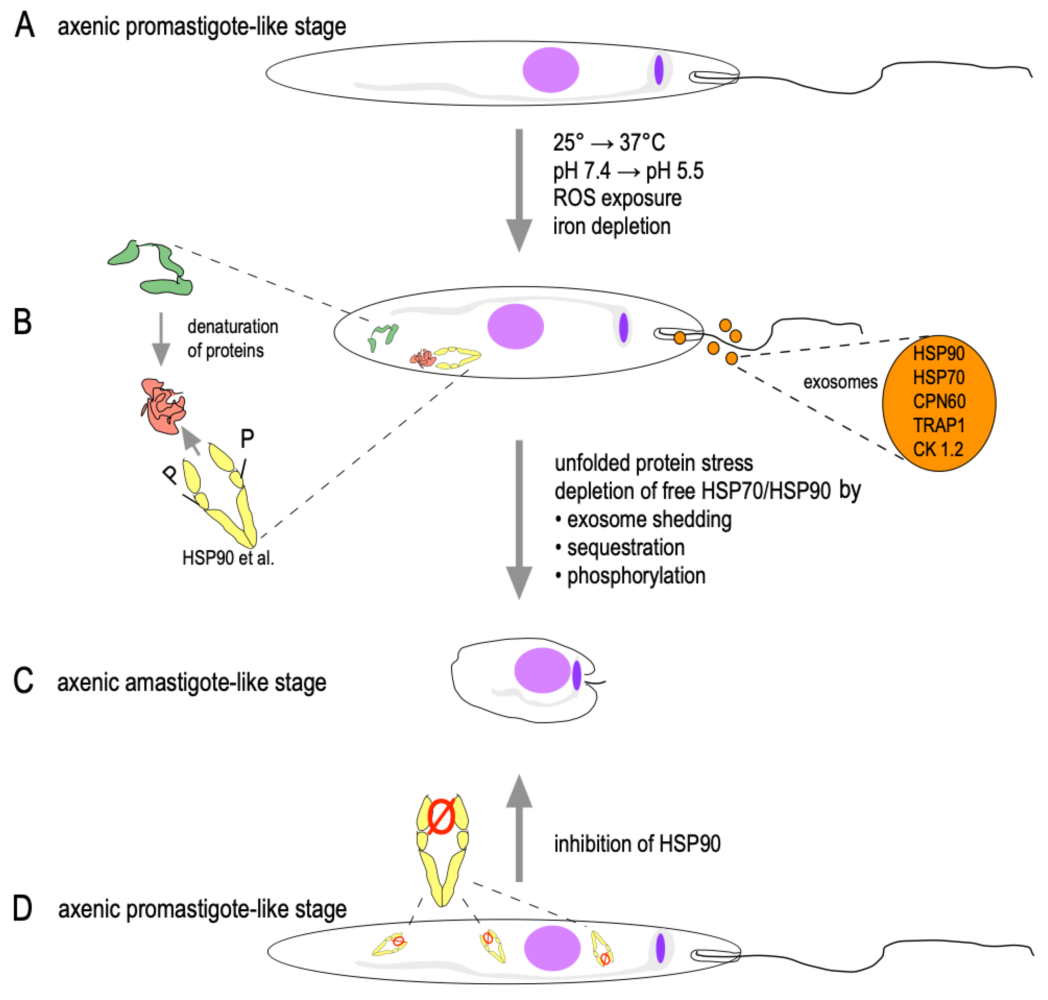 Pathogens 11 01052 g002