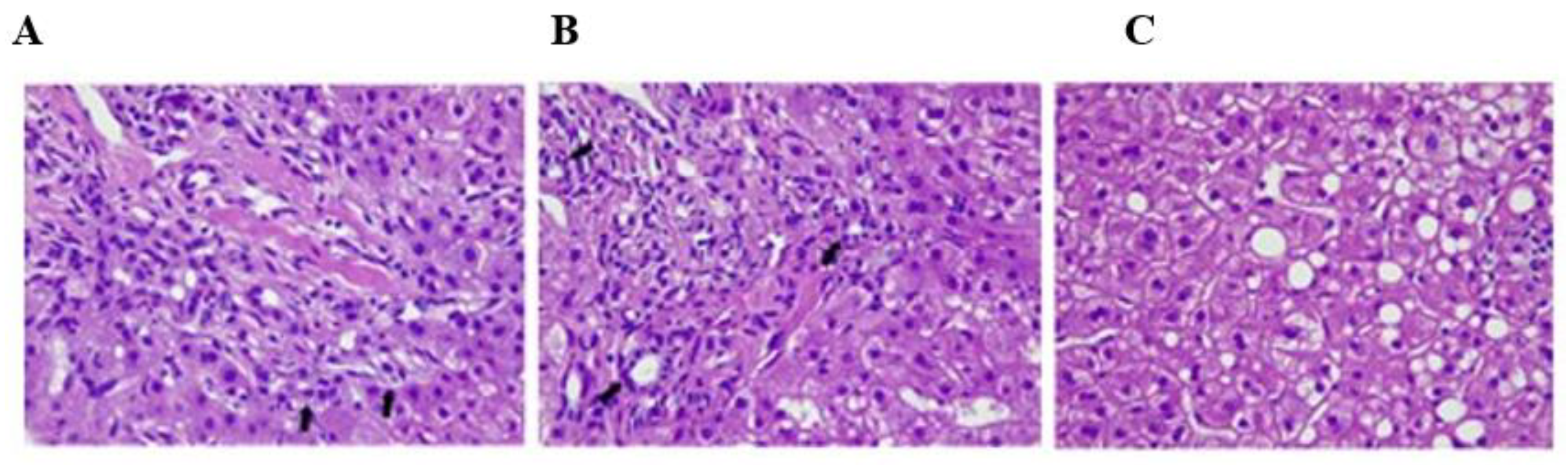 Pathogens 11 01054 g001