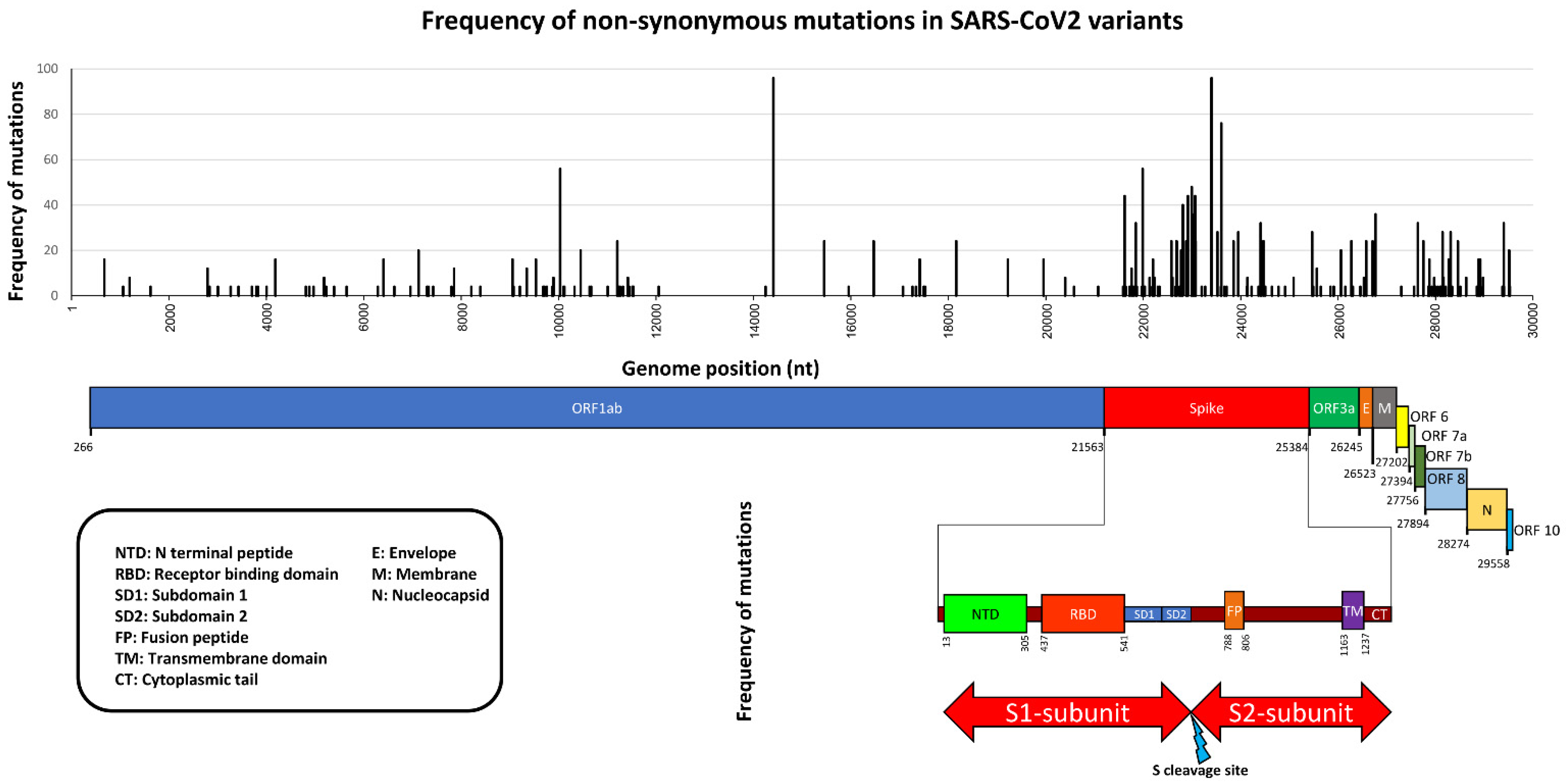 Pathogens 11 01058 g001