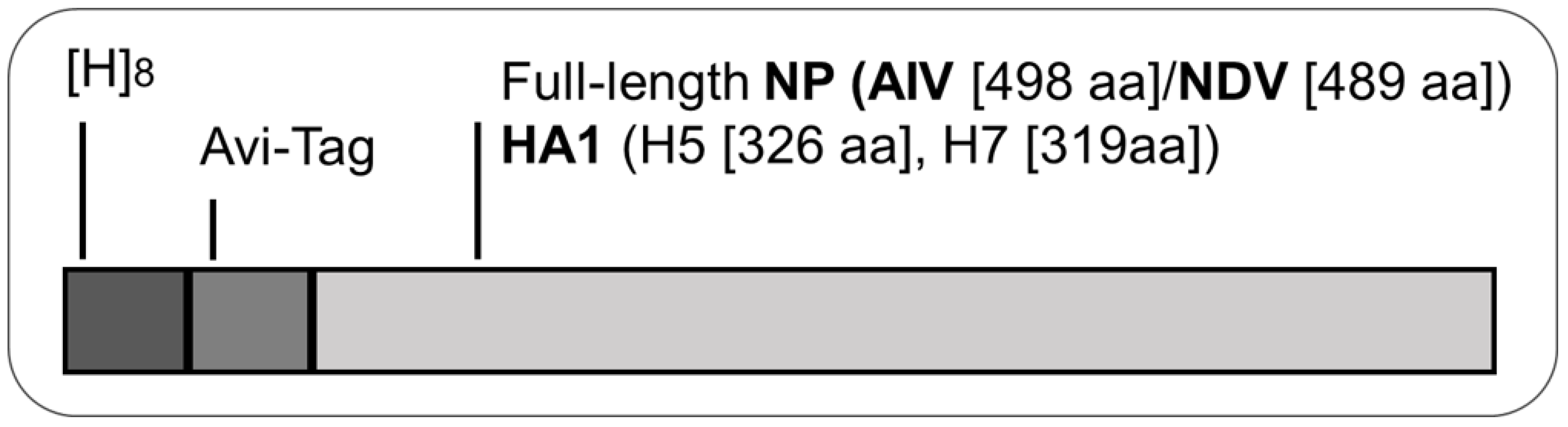 Pathogens 11 01059 g001