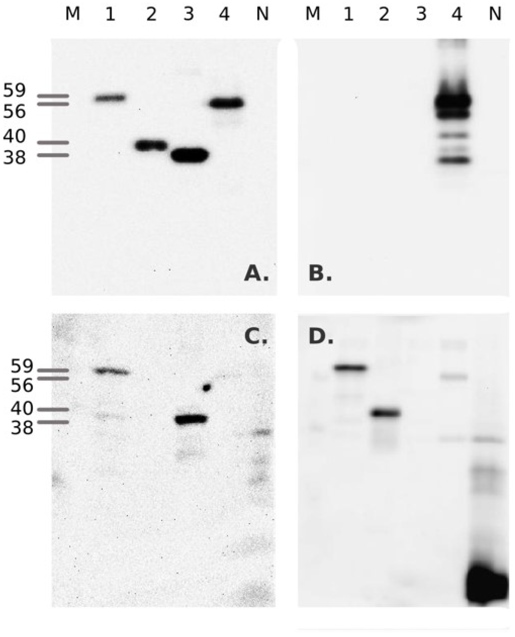 Pathogens 11 01059 g002