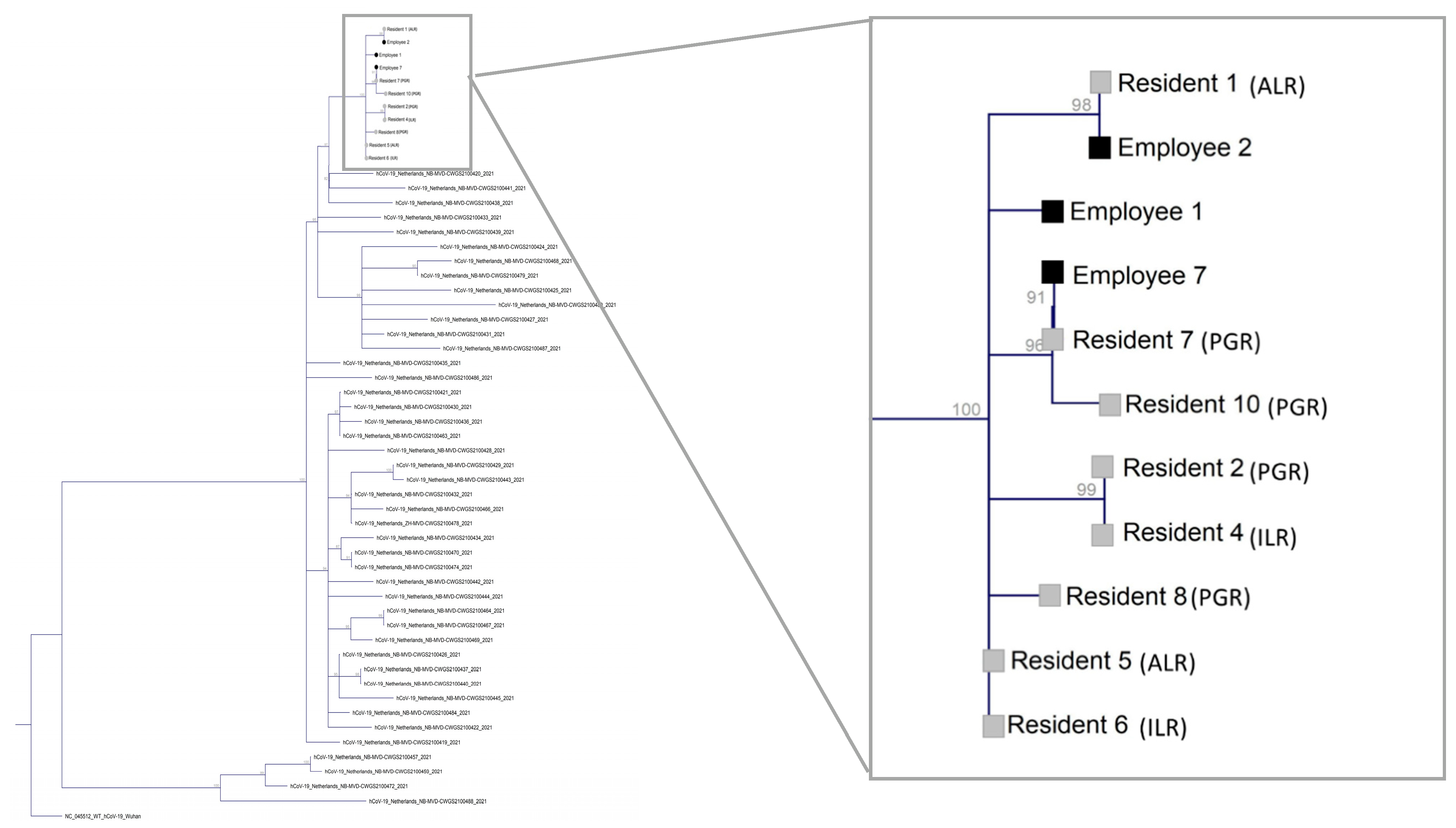 Pathogens 11 01070 g003