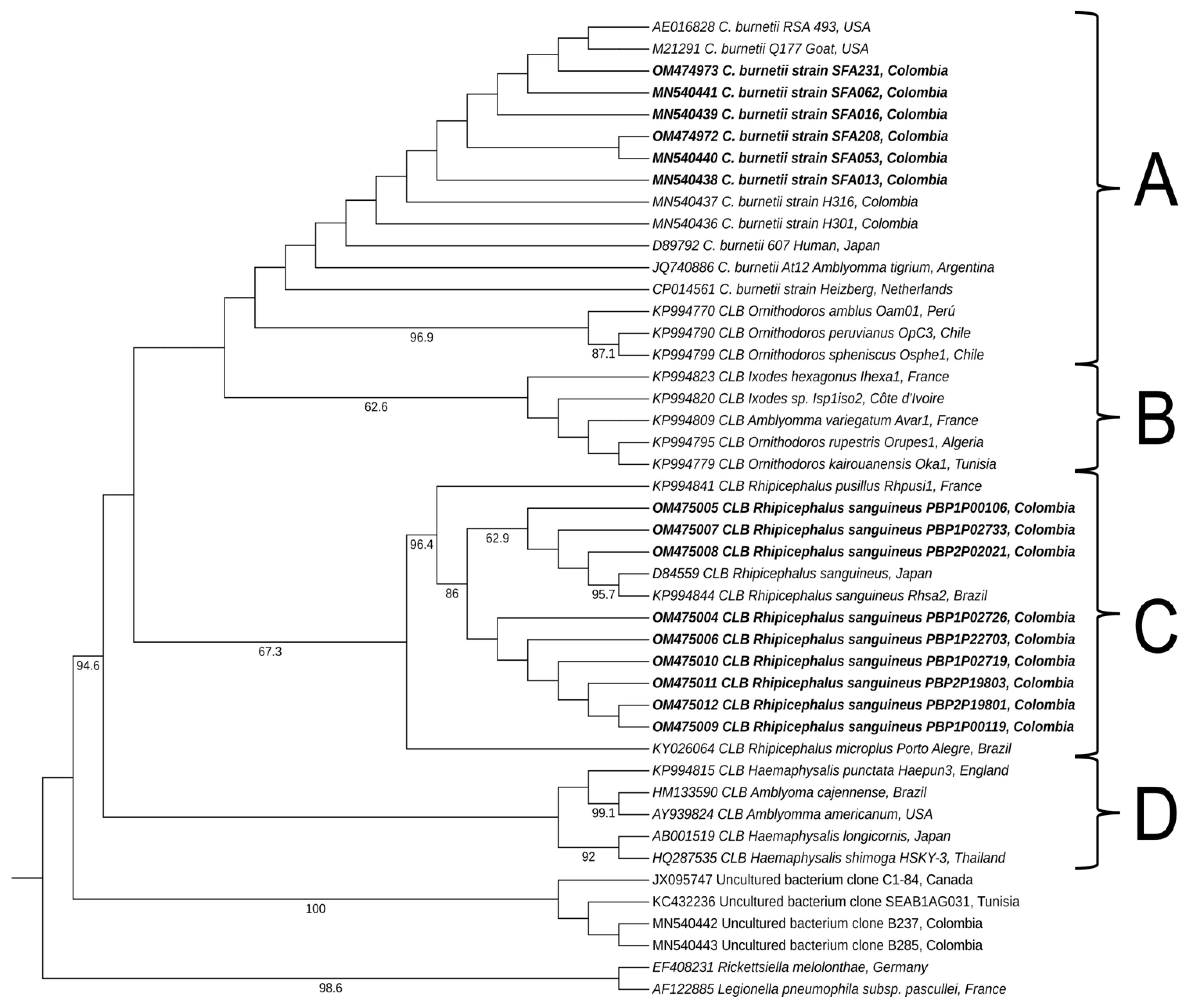 Pathogens 11 01090 g001 Pathogens 11 01090 g001