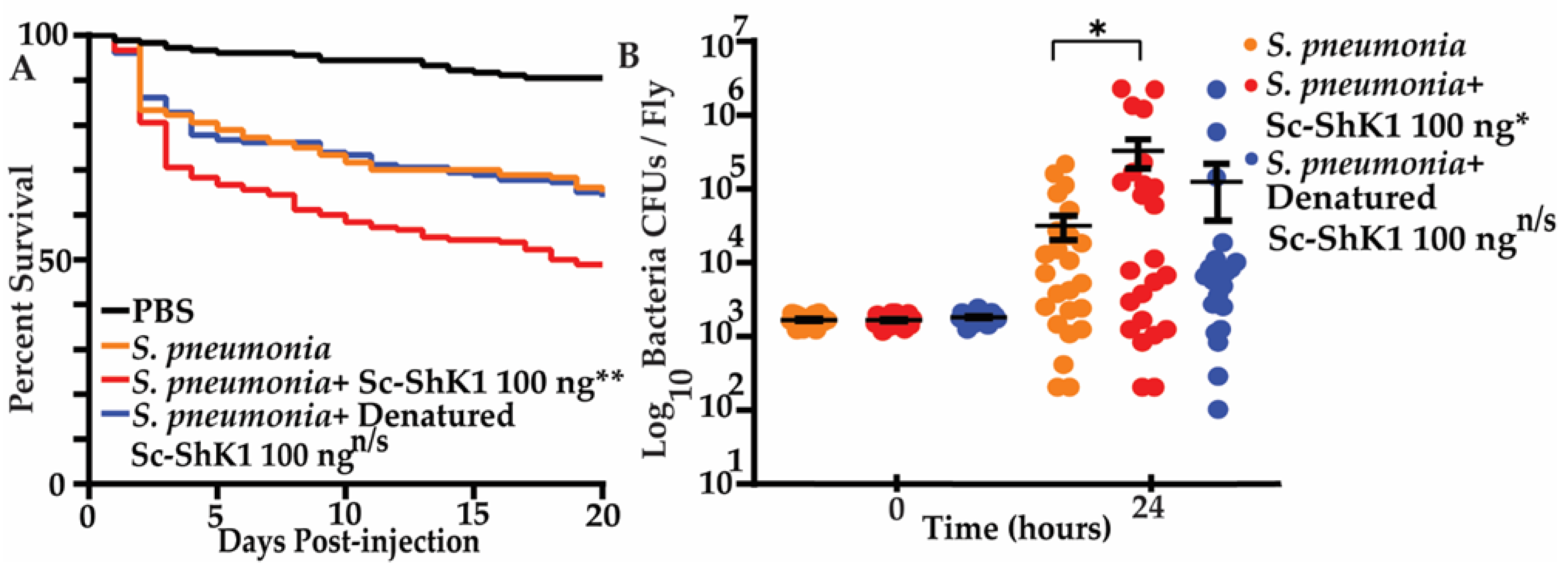 Pathogens 11 01094 g004 Pathogens 11 01094 g004