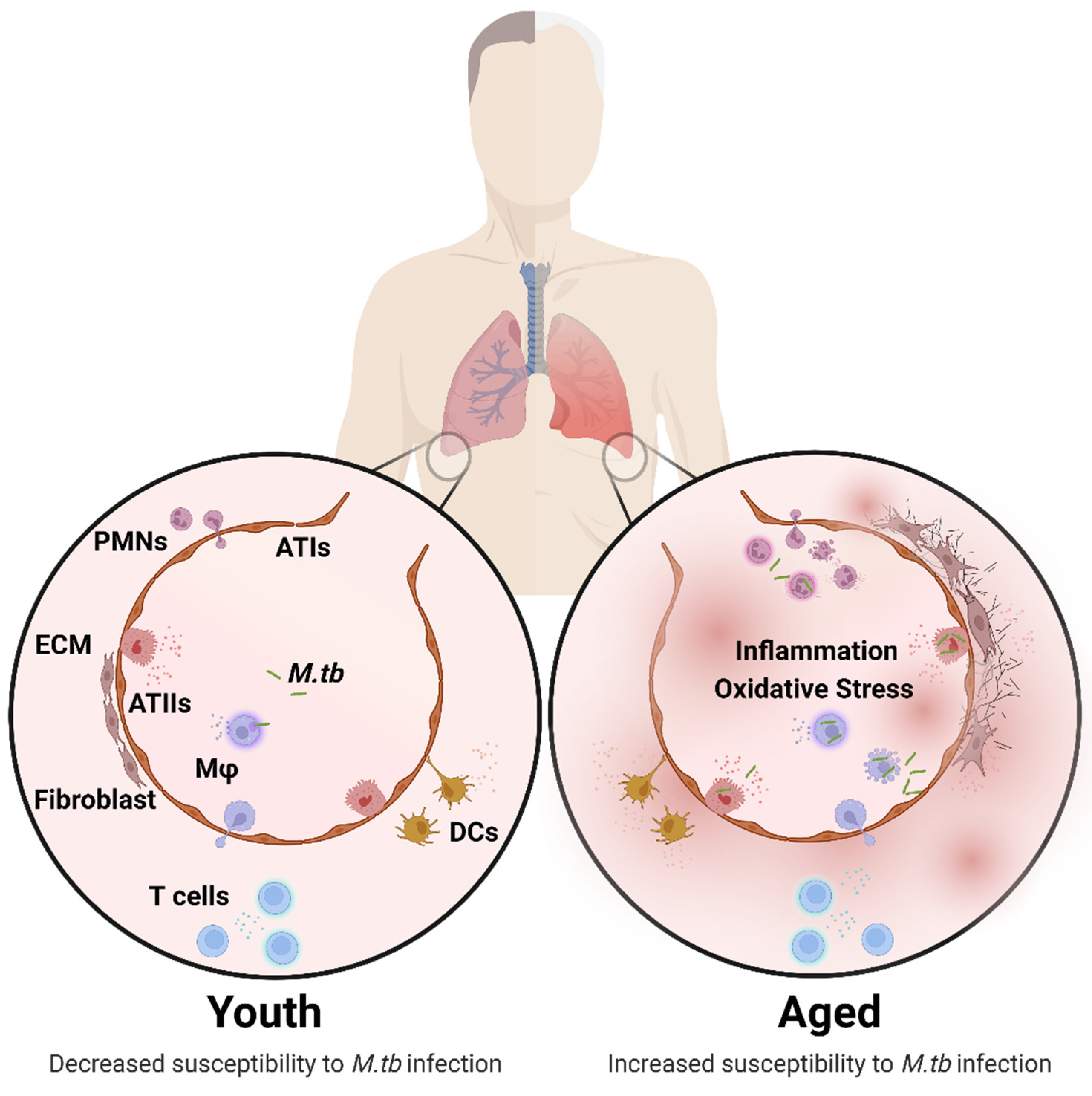 Pathogens 11 01101 g001 Pathogens 11 01101 g001